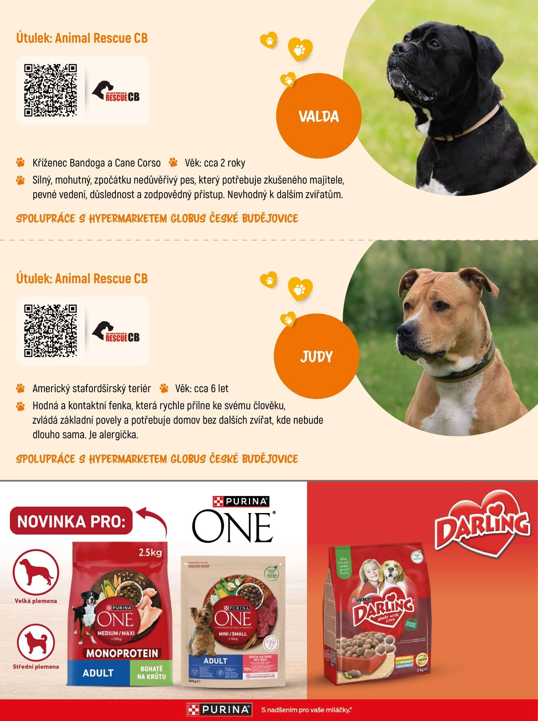 Flyer page 11