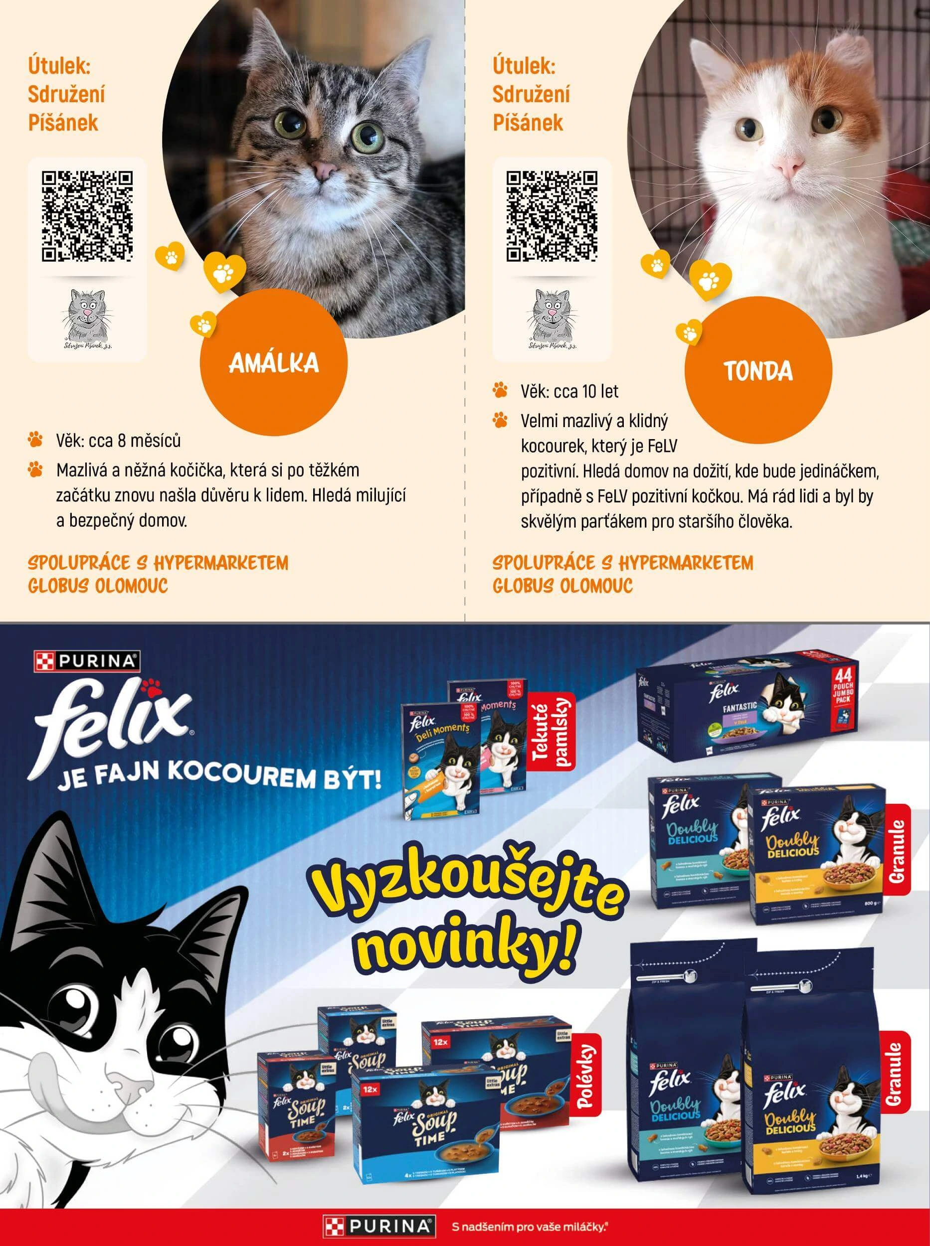 Flyer page 12