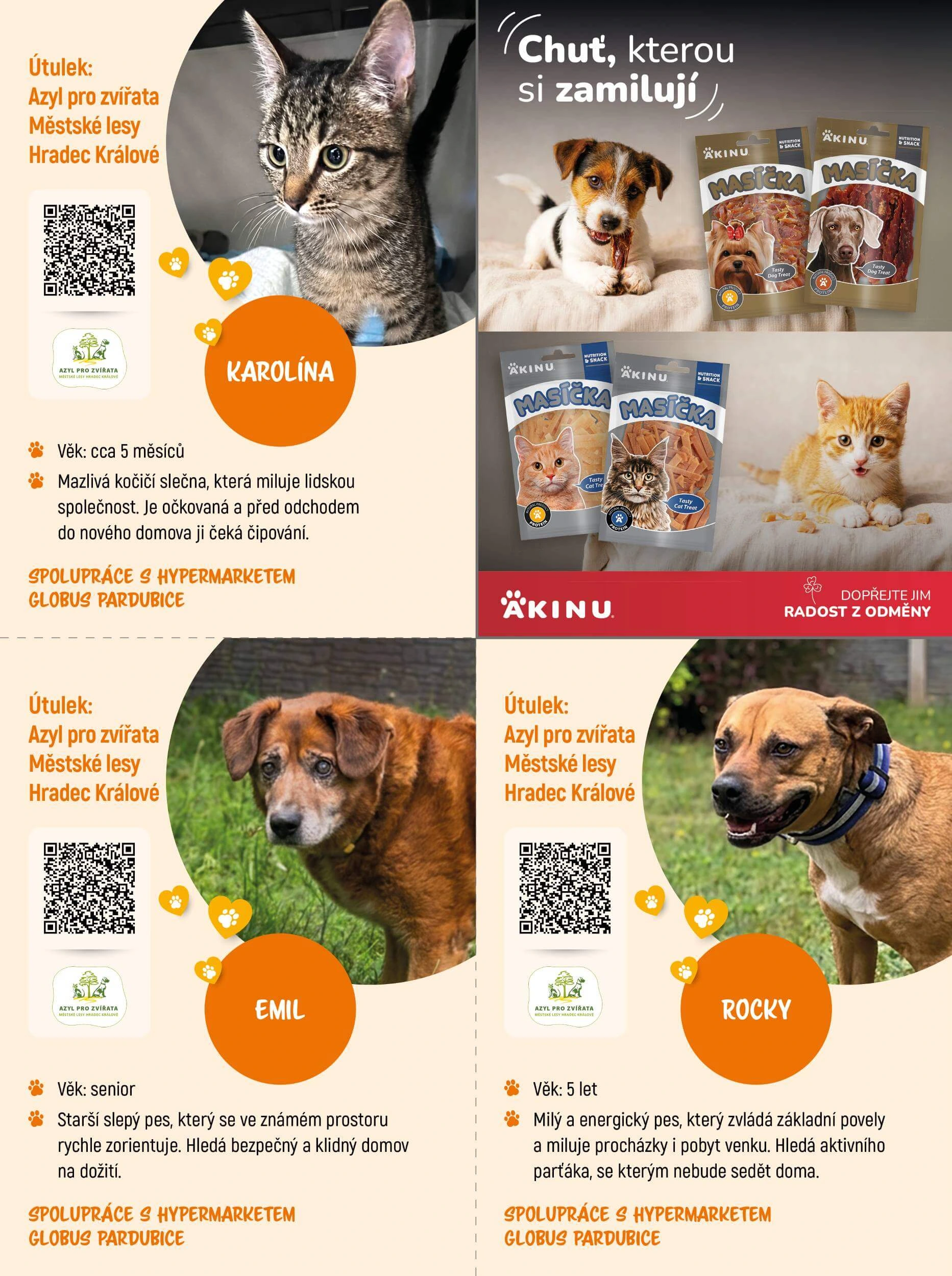 Flyer page 13