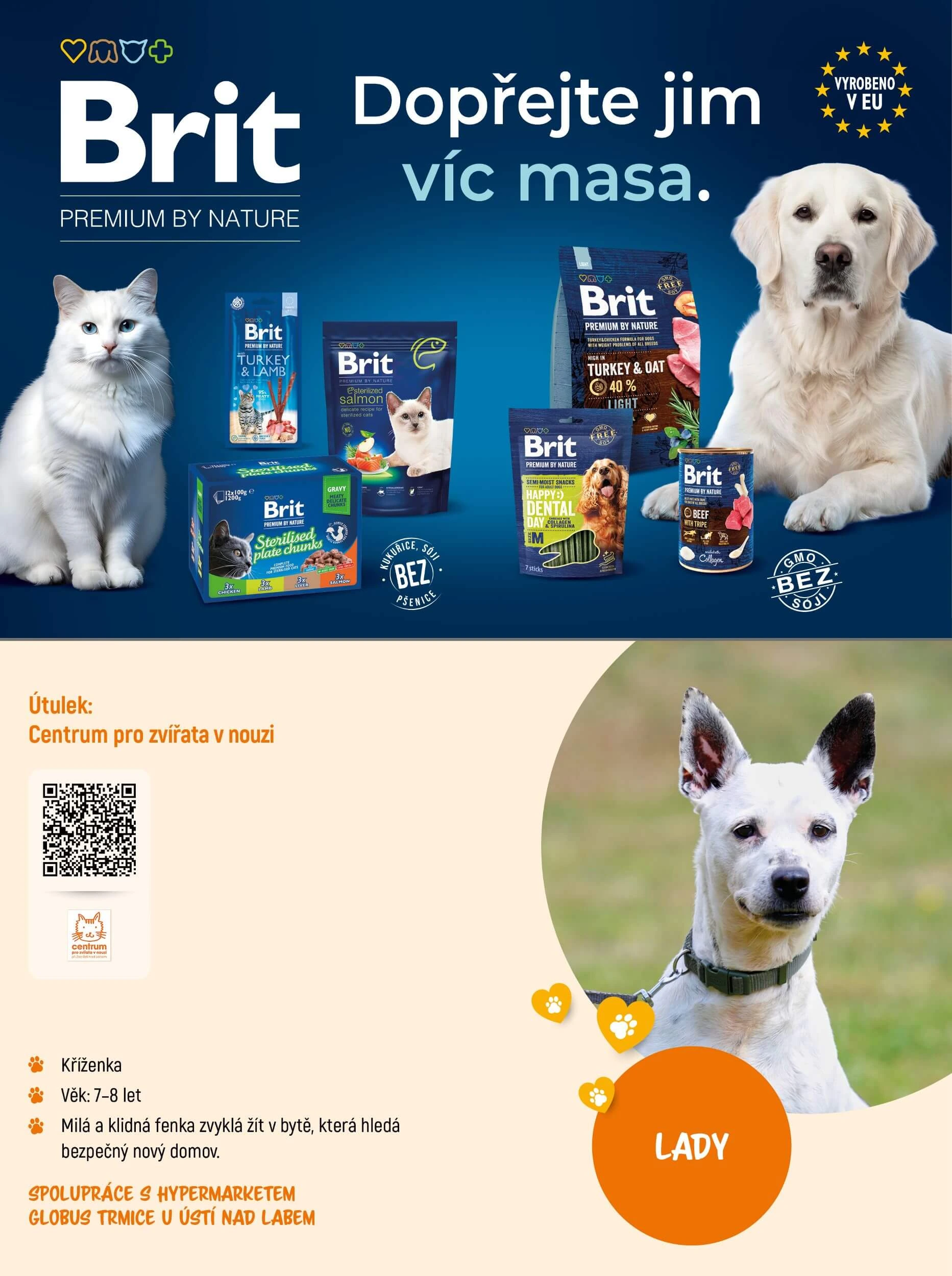 Flyer page 15