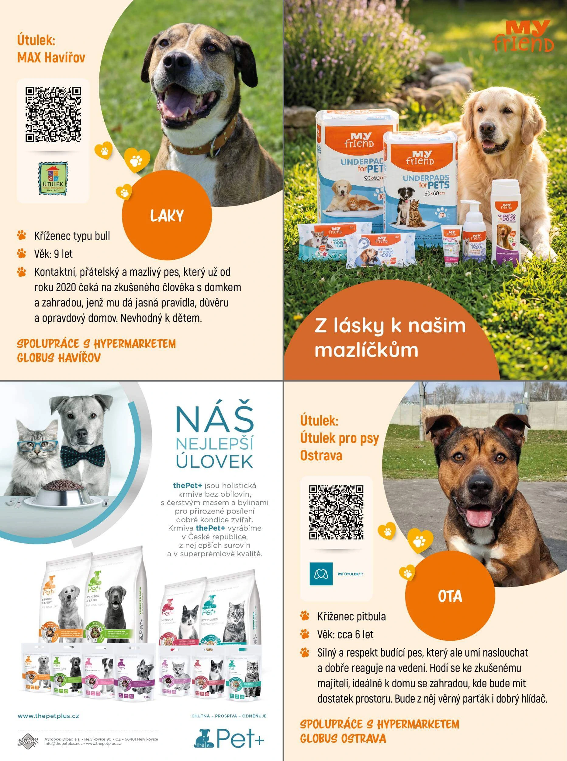 Flyer page 17
