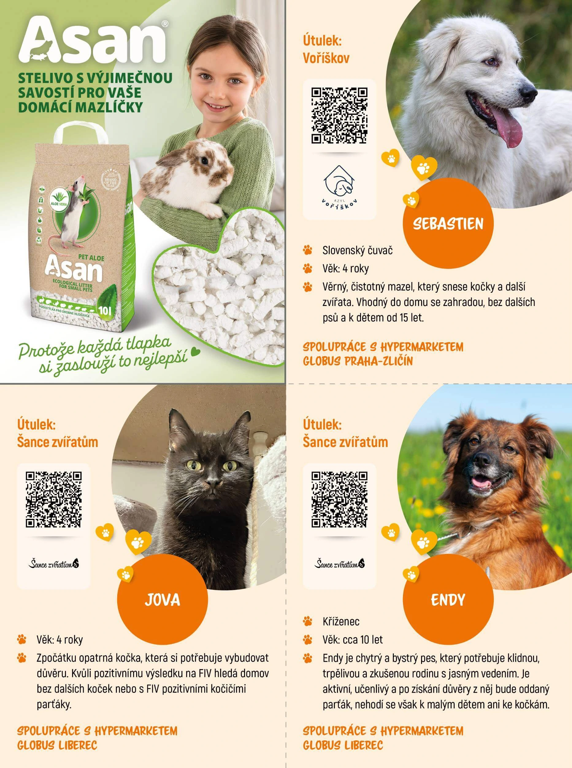 Flyer page 4