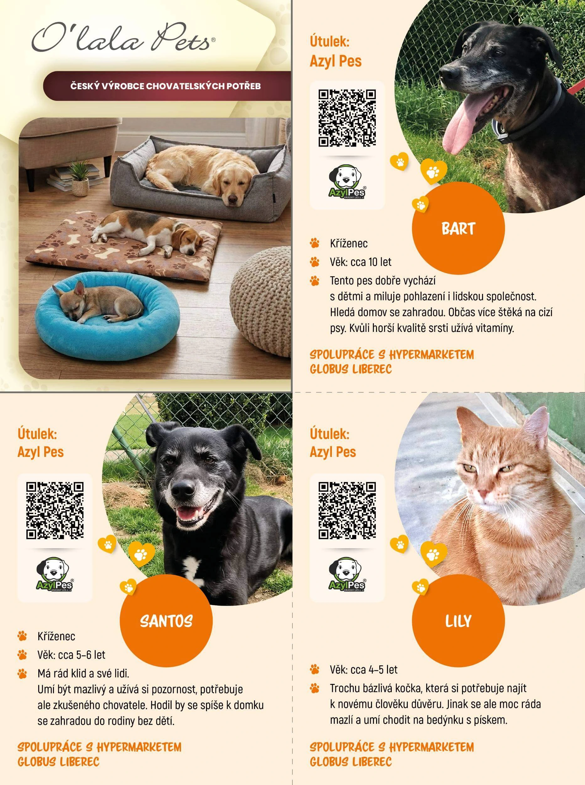 Flyer page 5