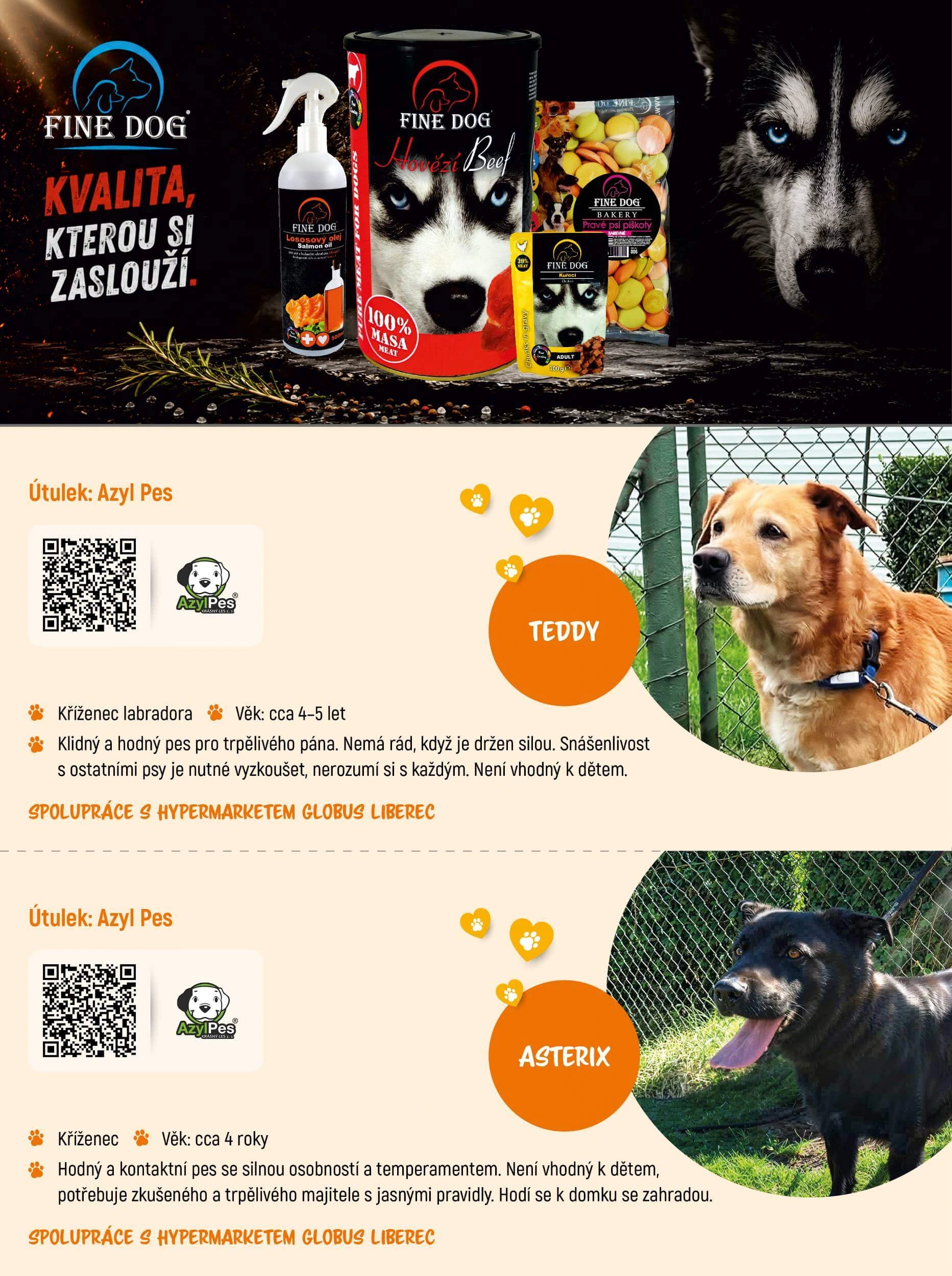 Flyer page 6