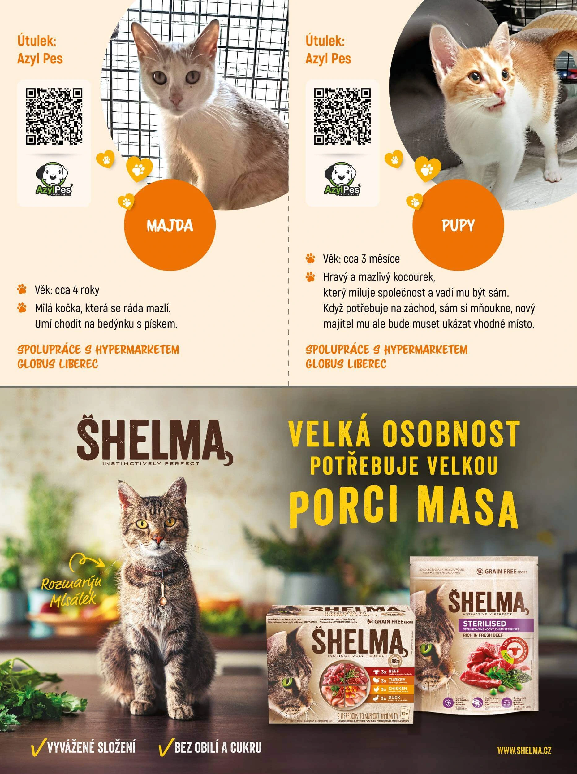 Flyer page 8