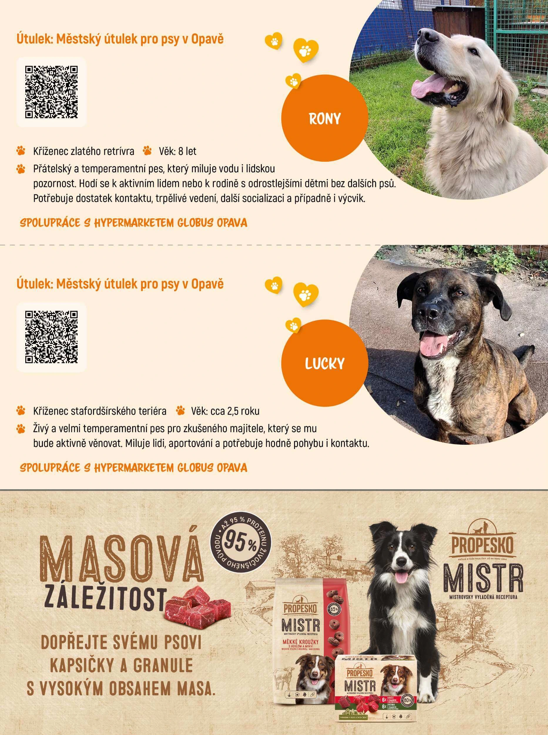 Flyer page 9