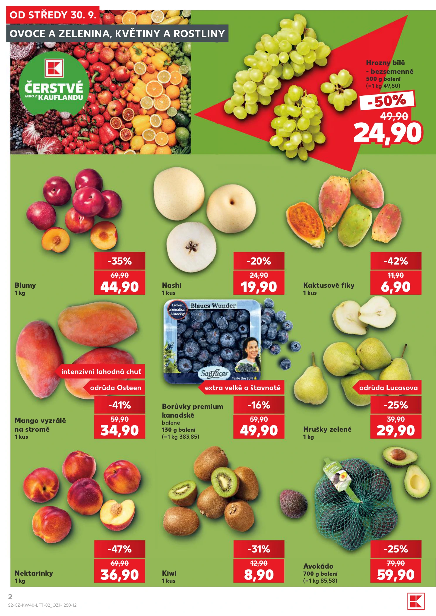 Flyer page 2