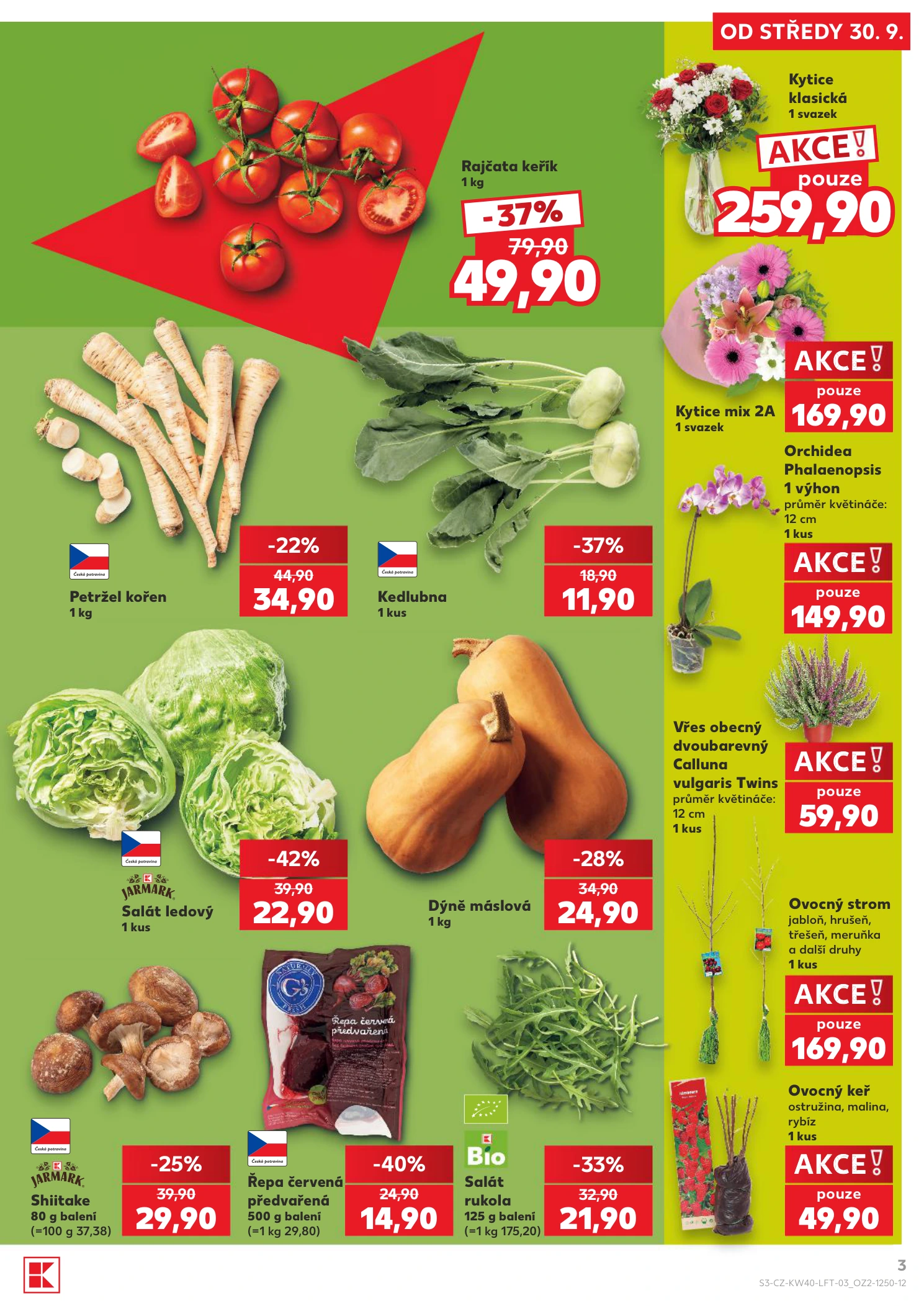 Flyer page 3