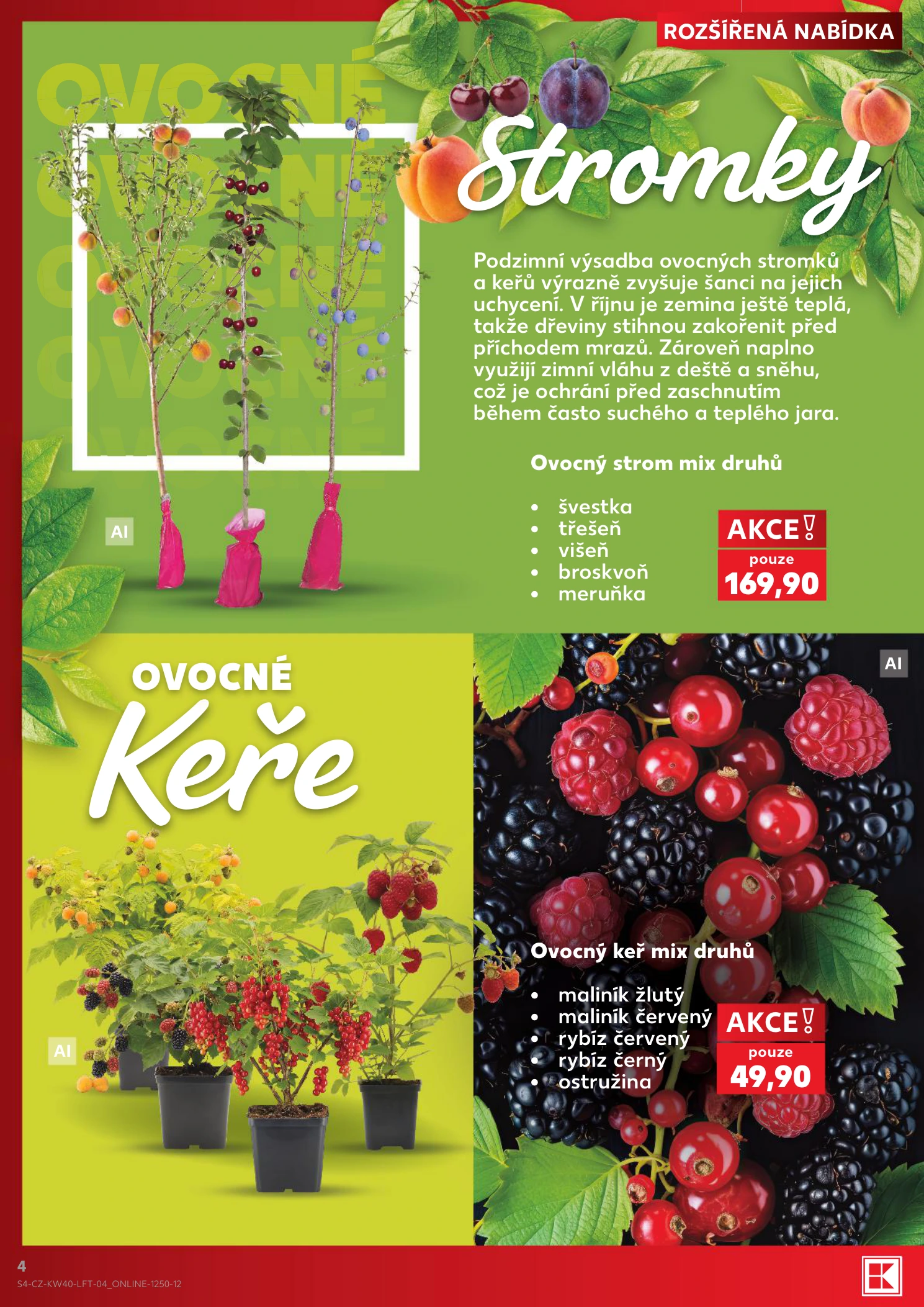 Flyer page 4