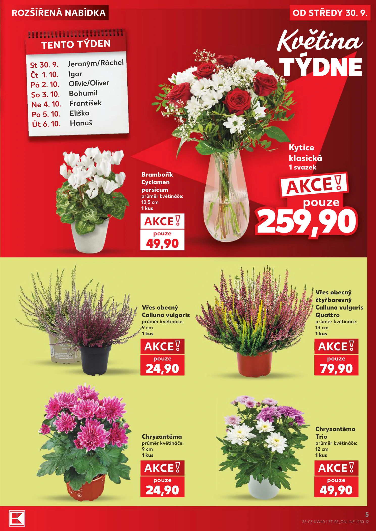 Flyer page 5