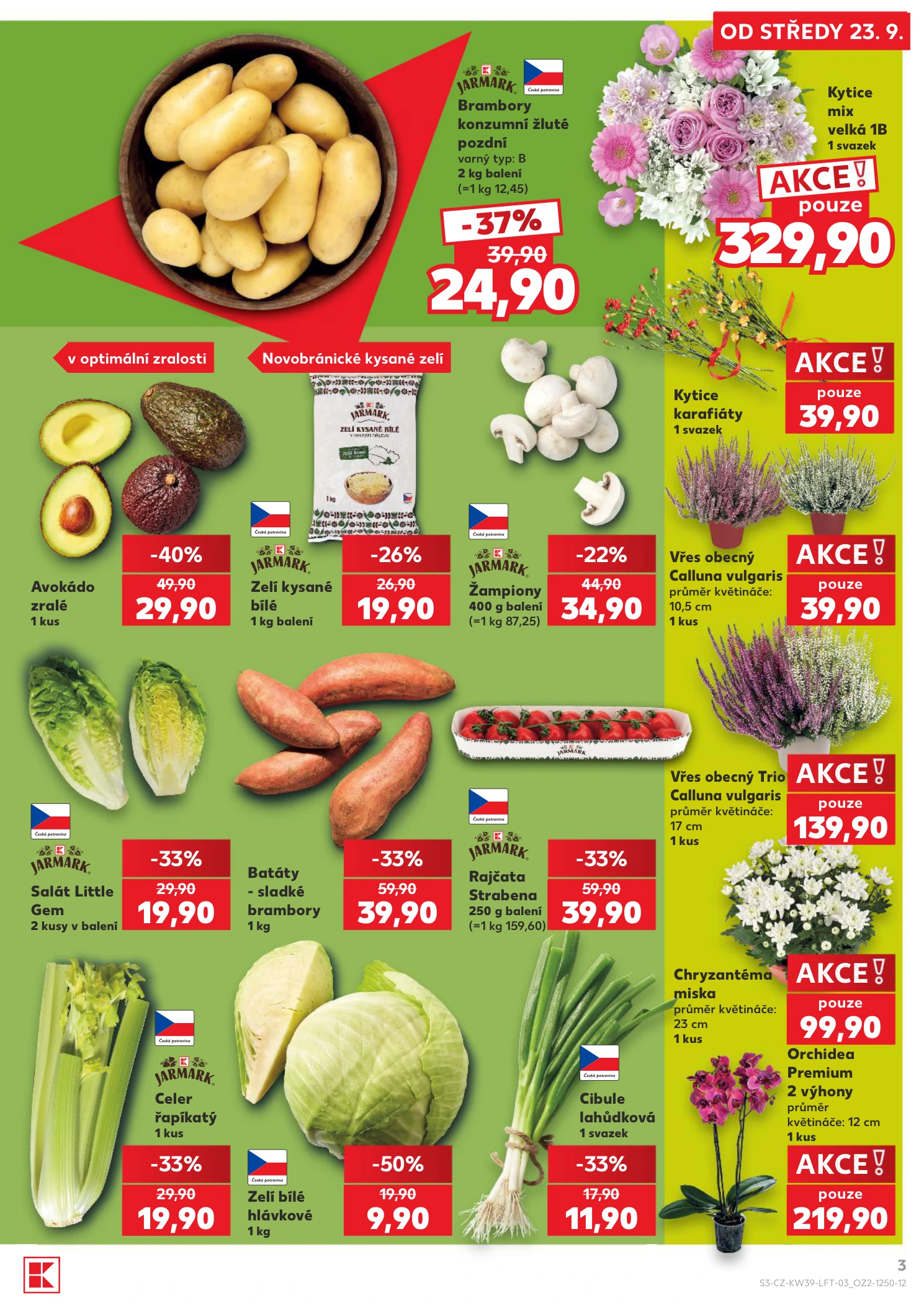 Flyer page 3