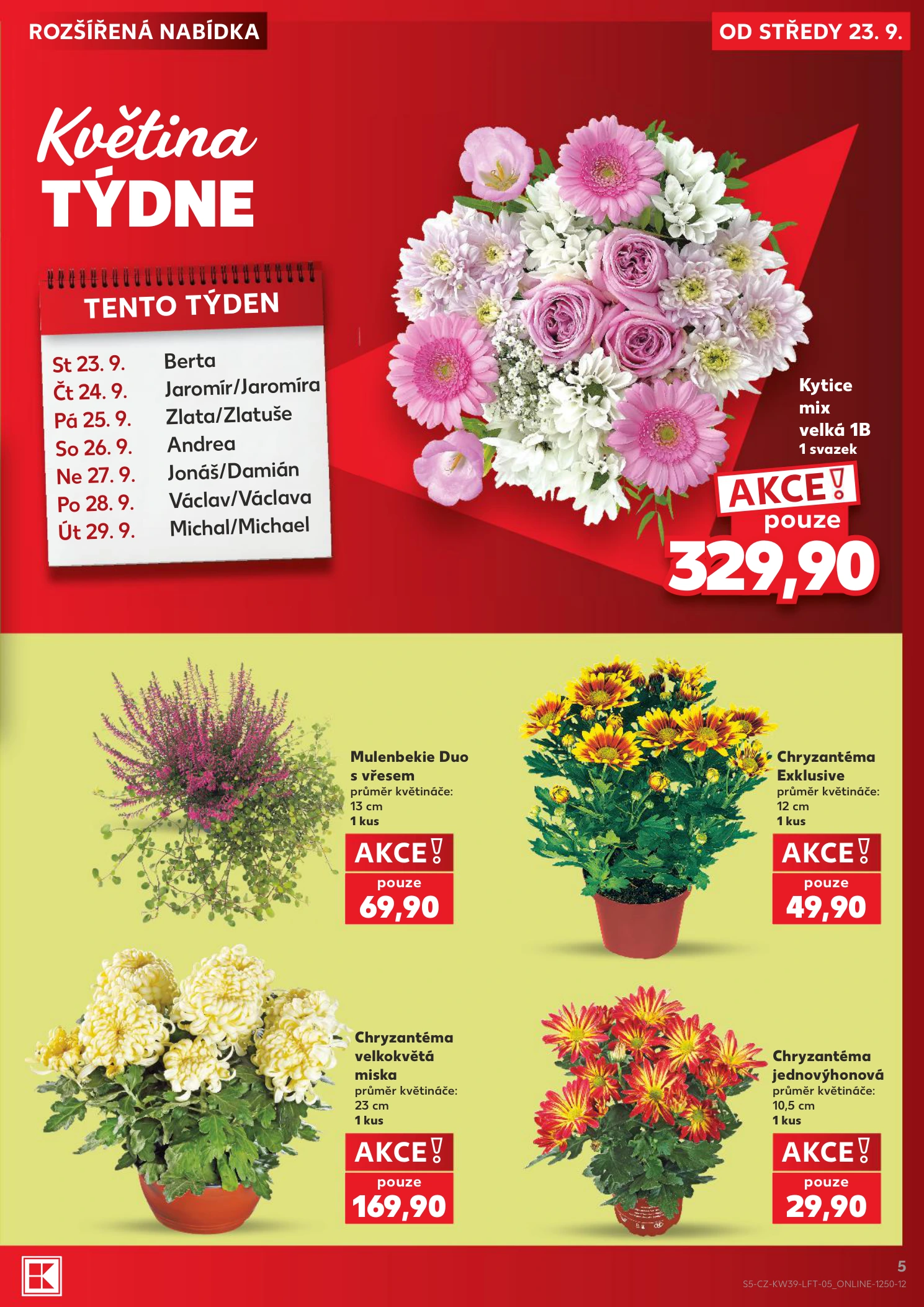 Flyer page 5
