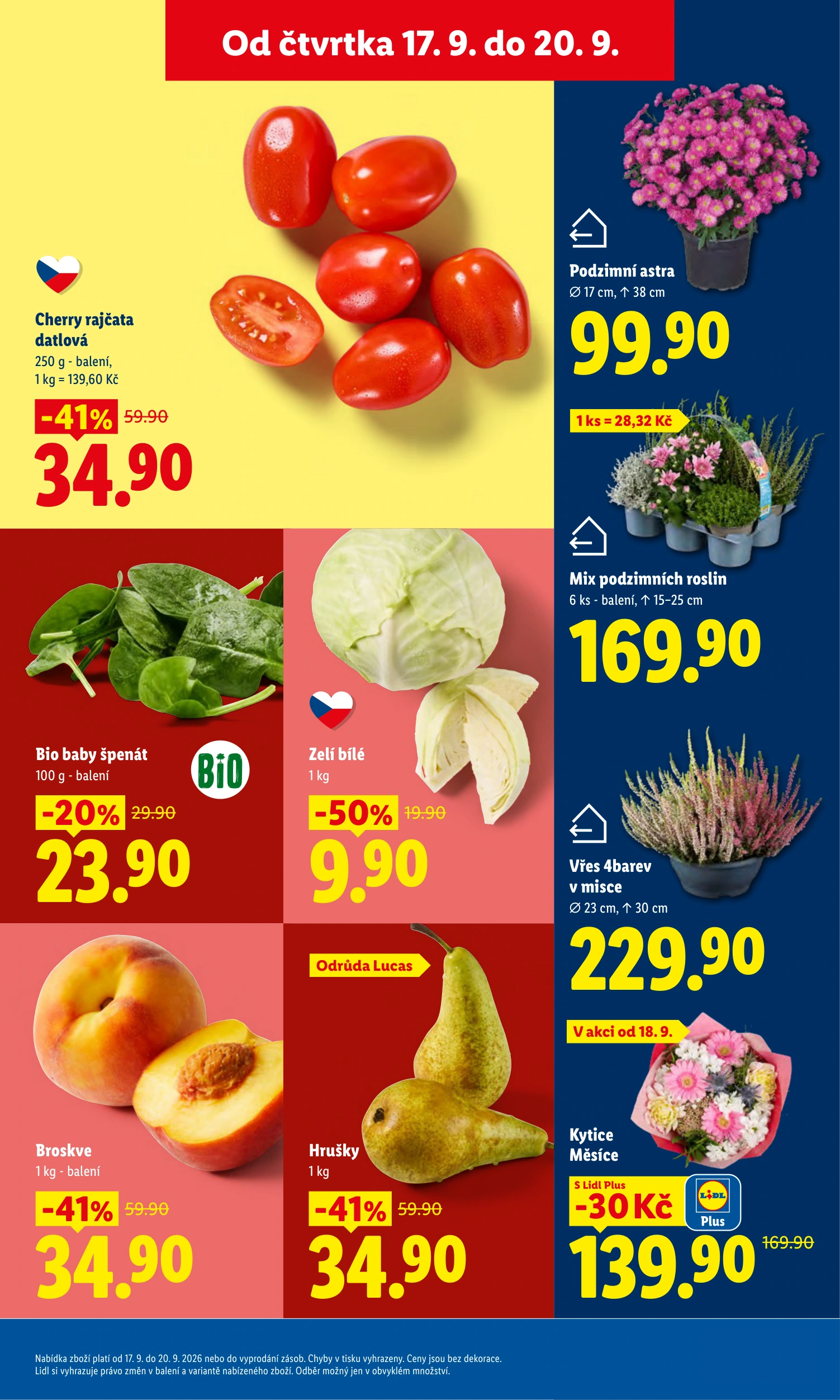 Flyer page 11