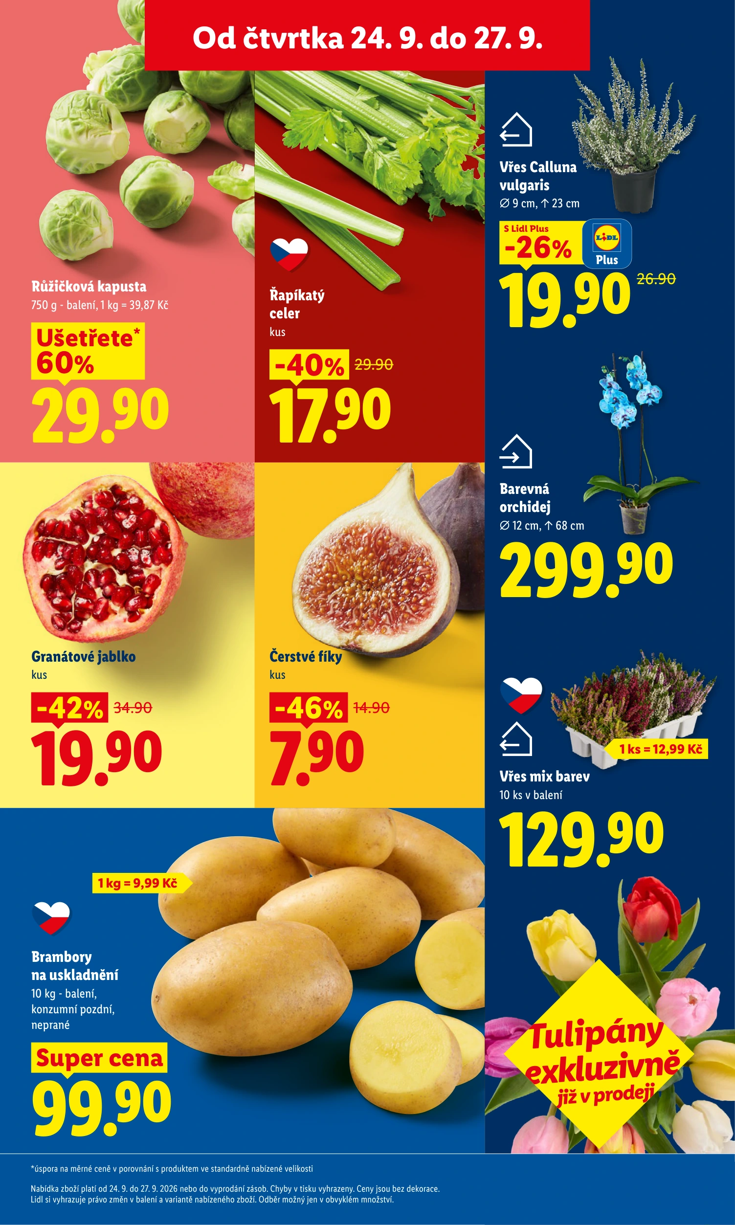 Flyer page 15