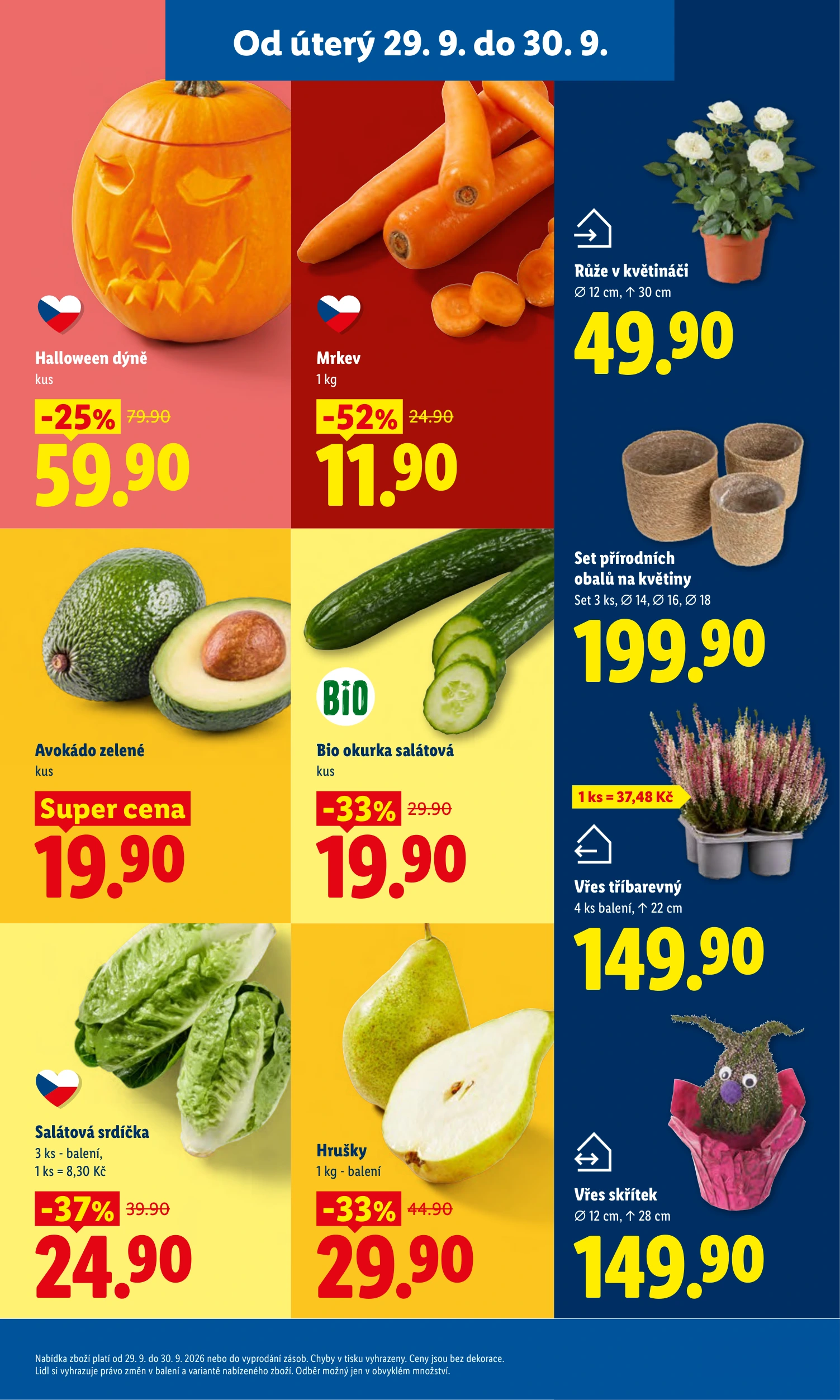Flyer page 13