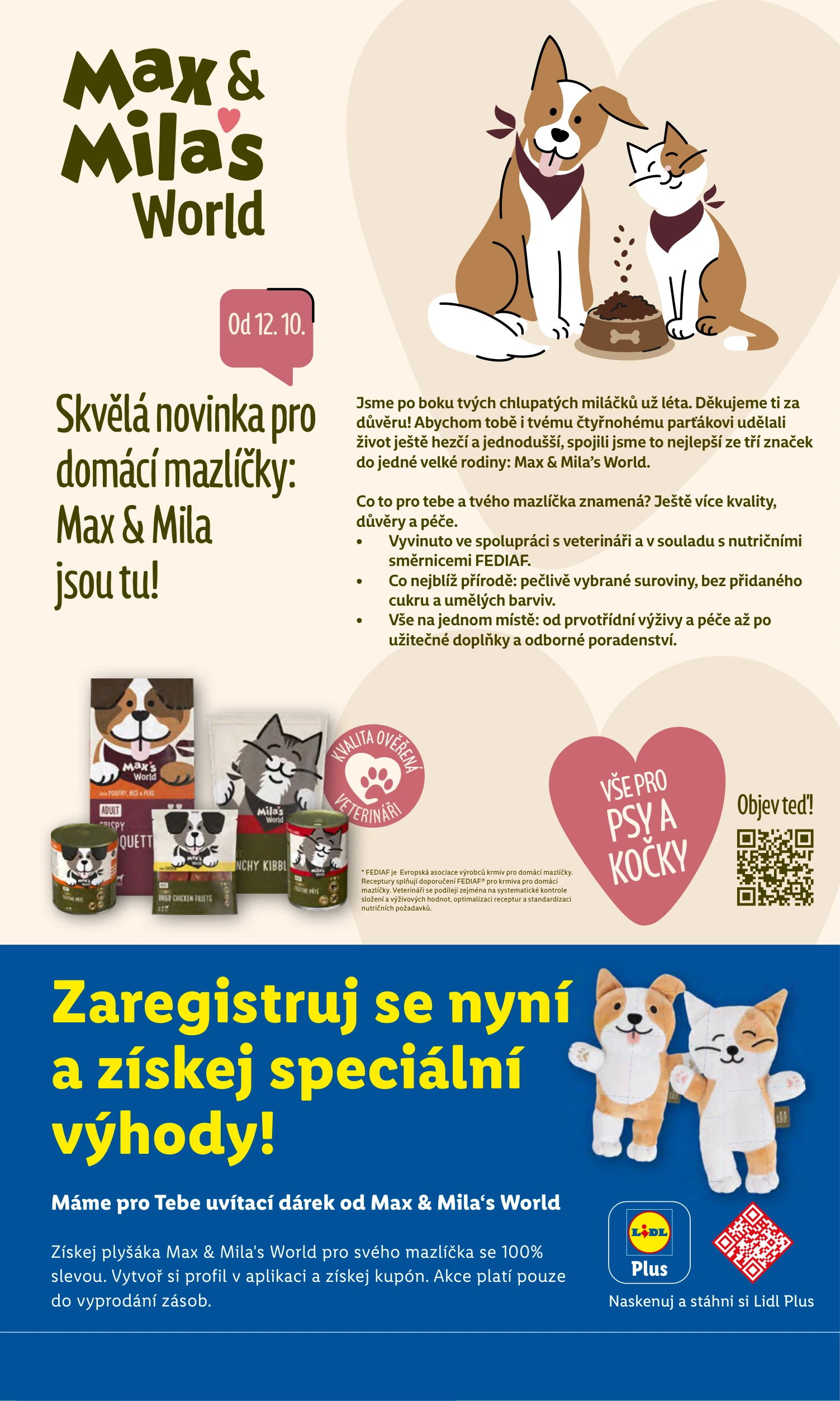 Flyer page 45