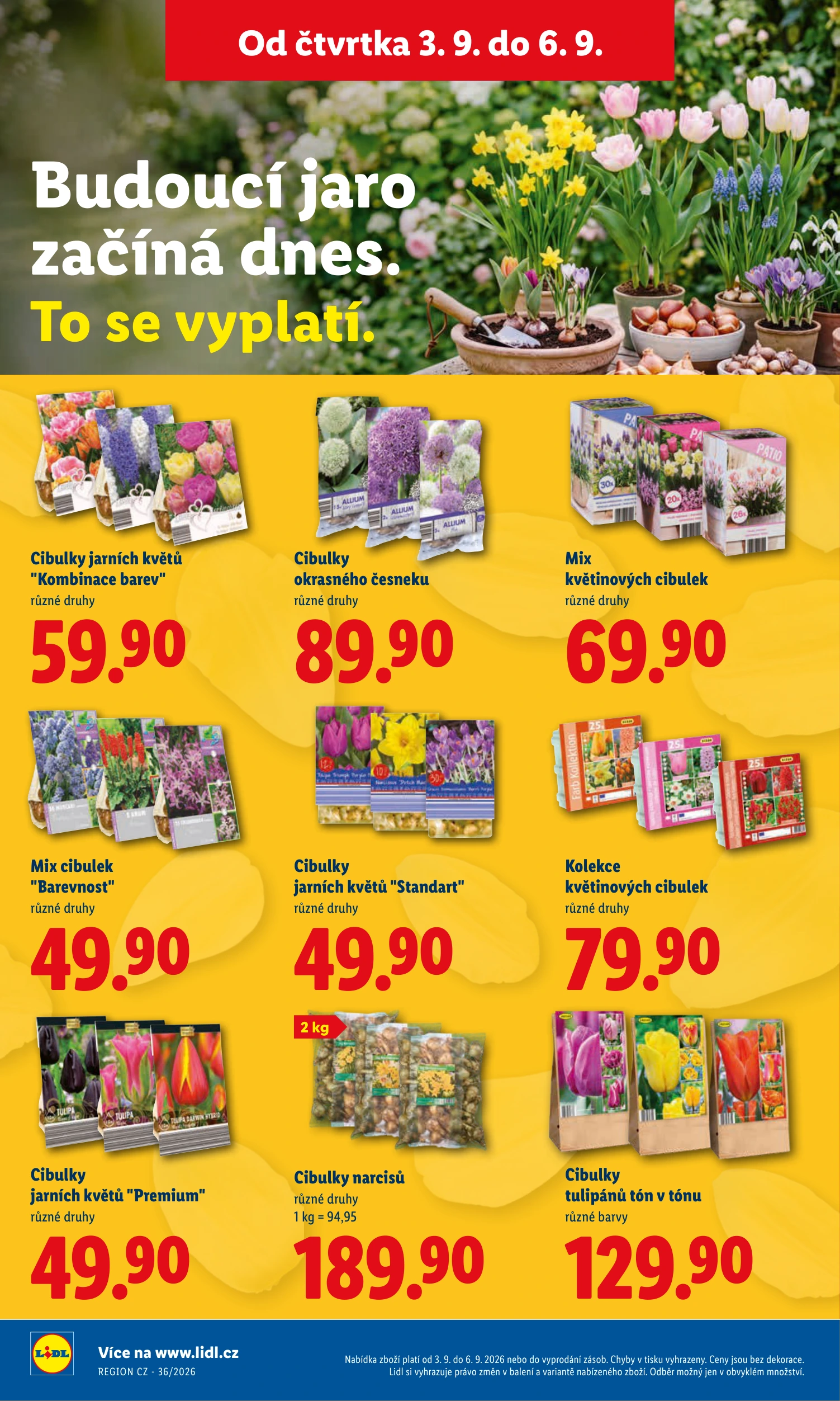 Flyer page 17