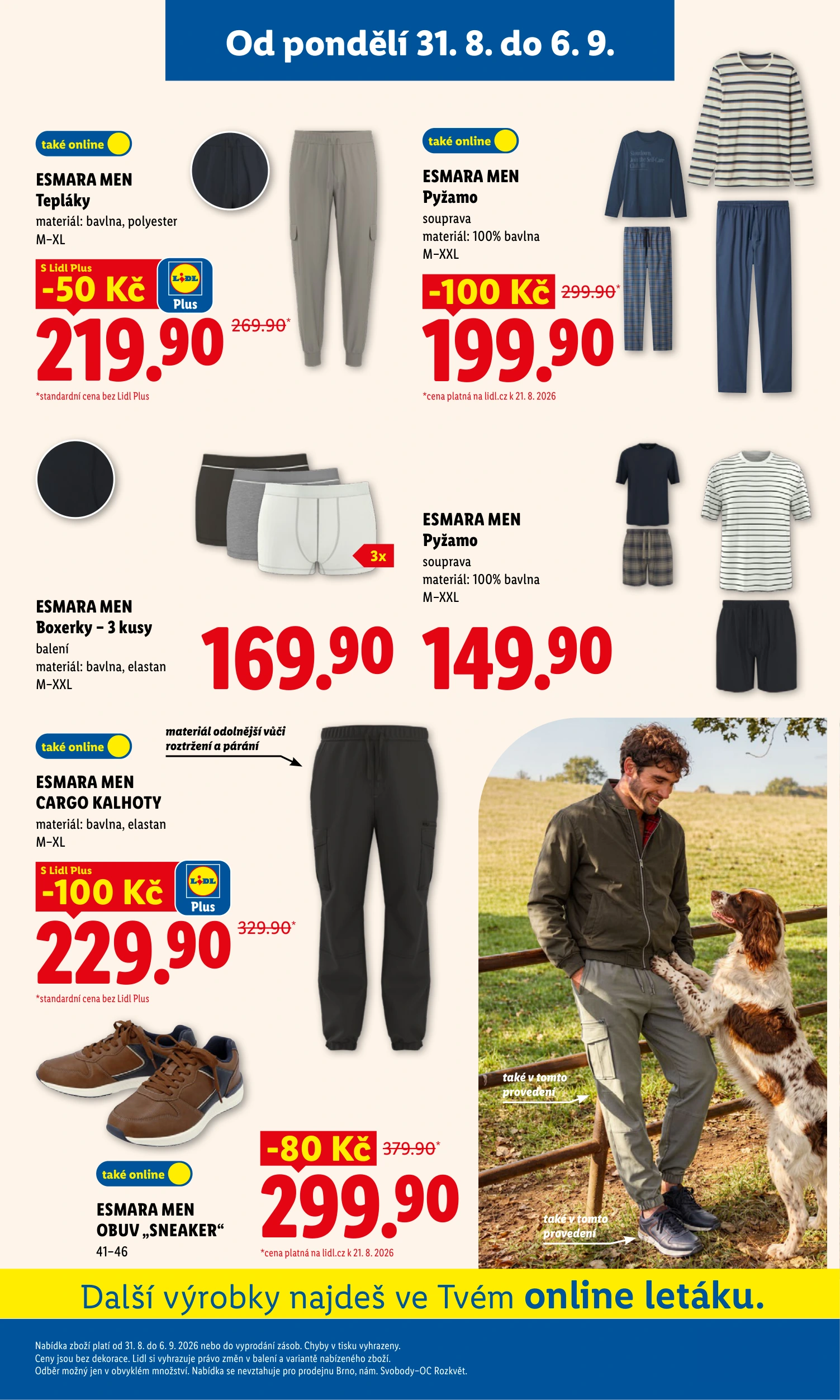 Flyer page 11