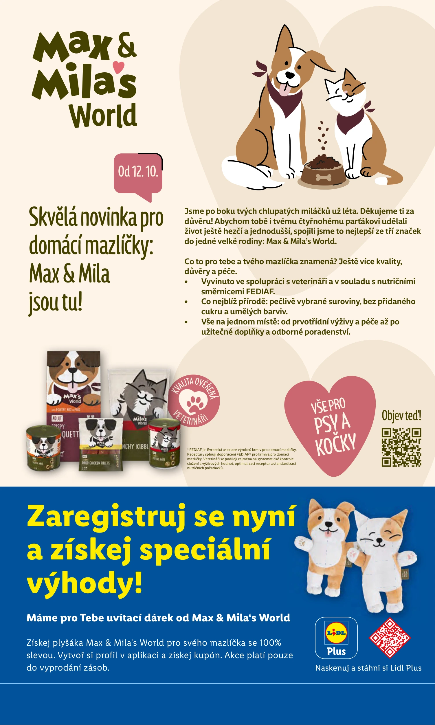Flyer page 19