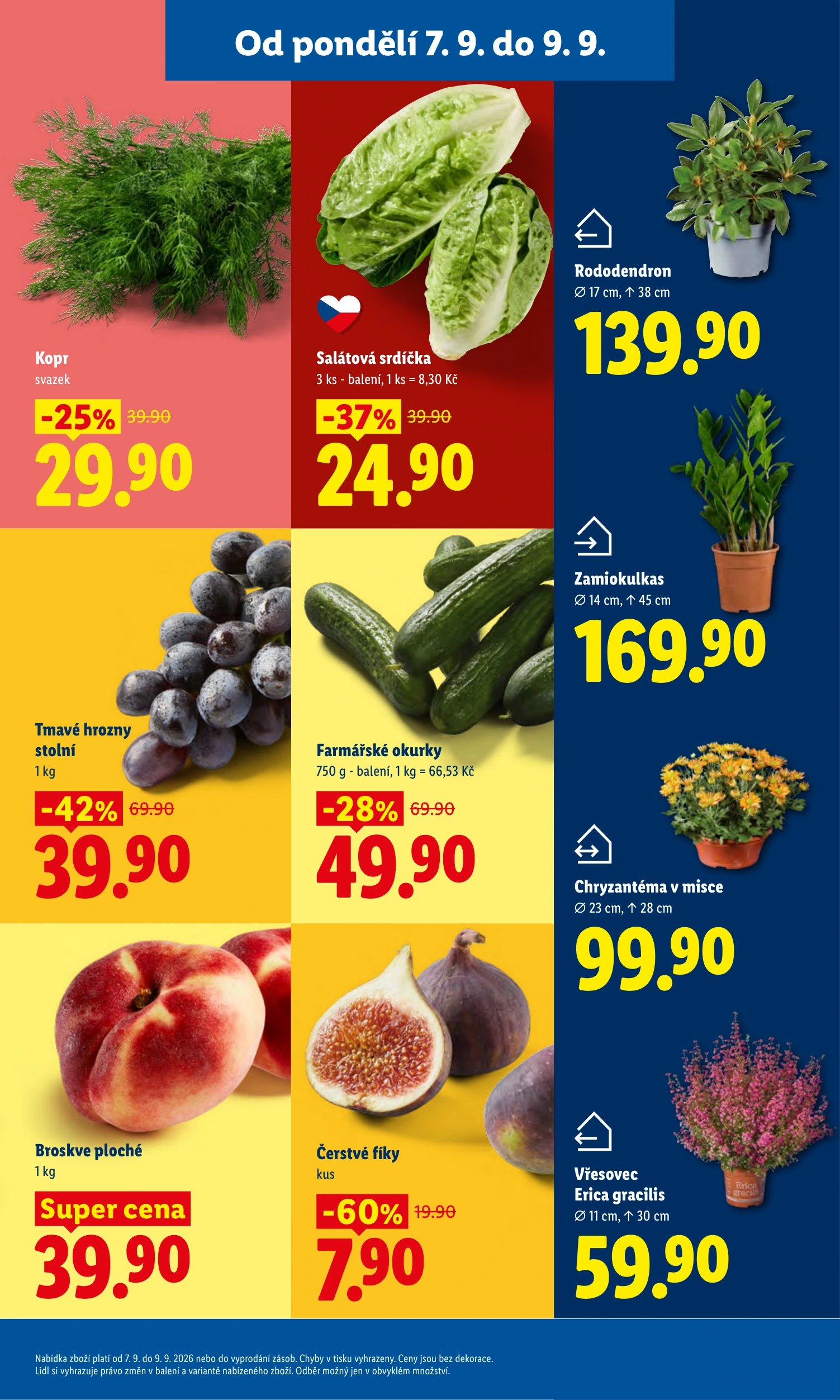 Flyer page 15