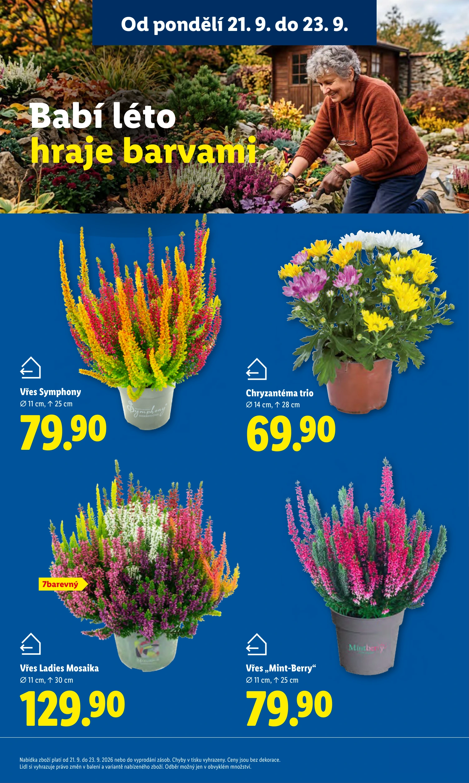 Flyer page 13