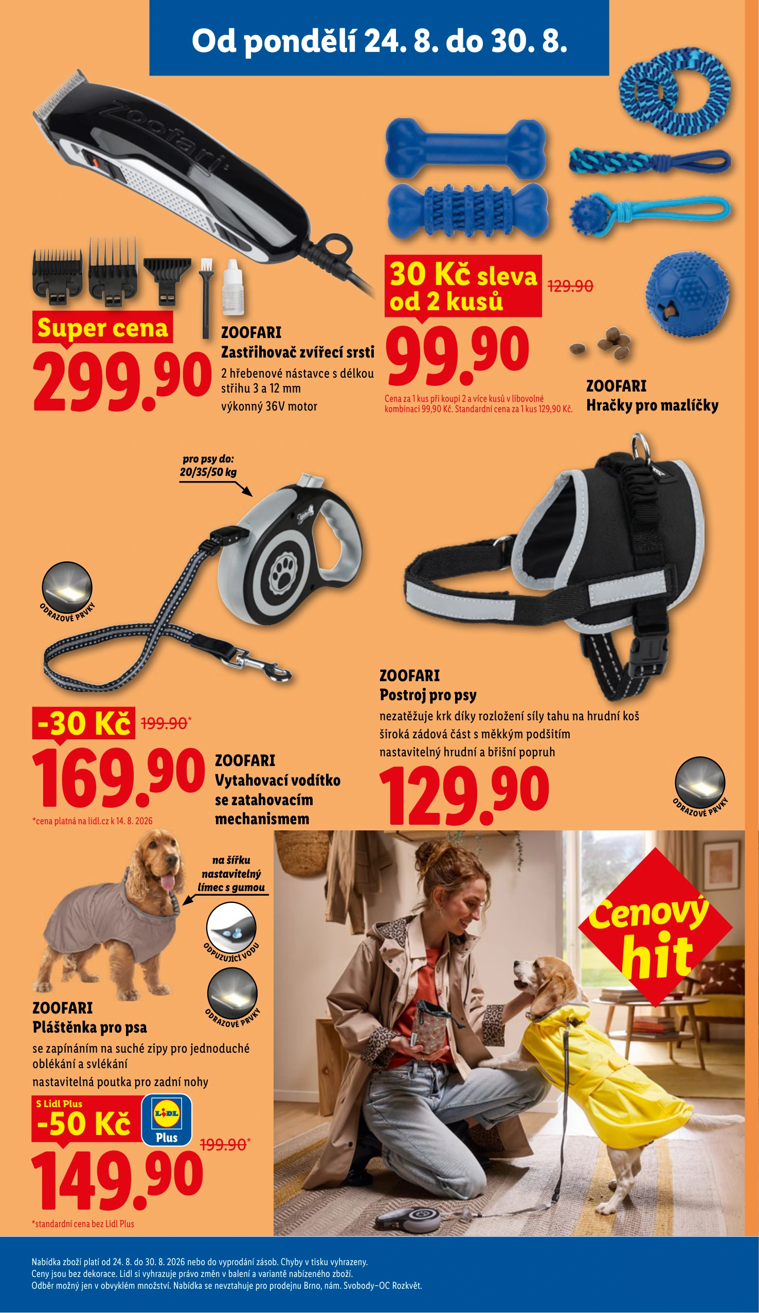 Flyer page 11