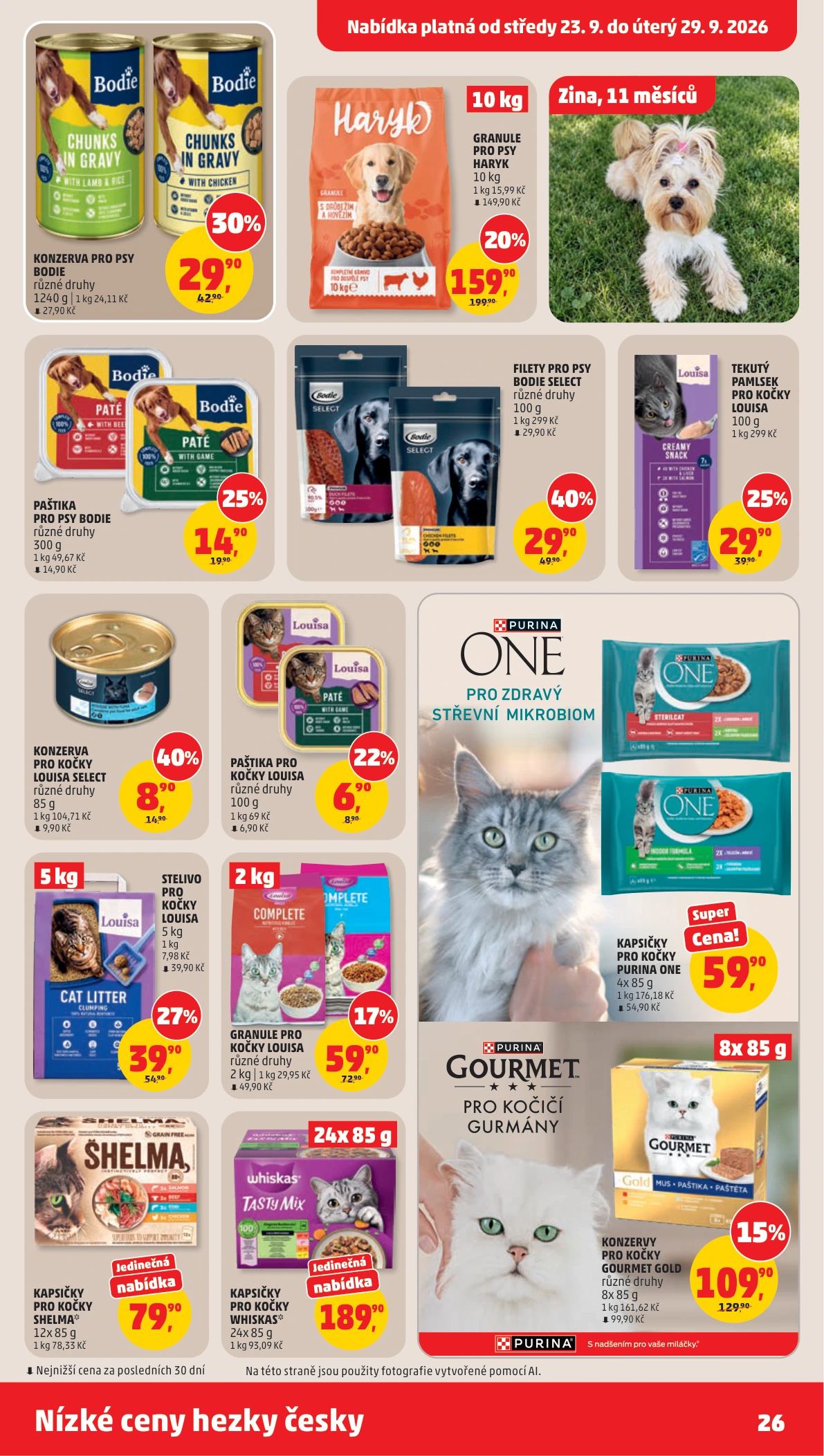 Flyer page 26