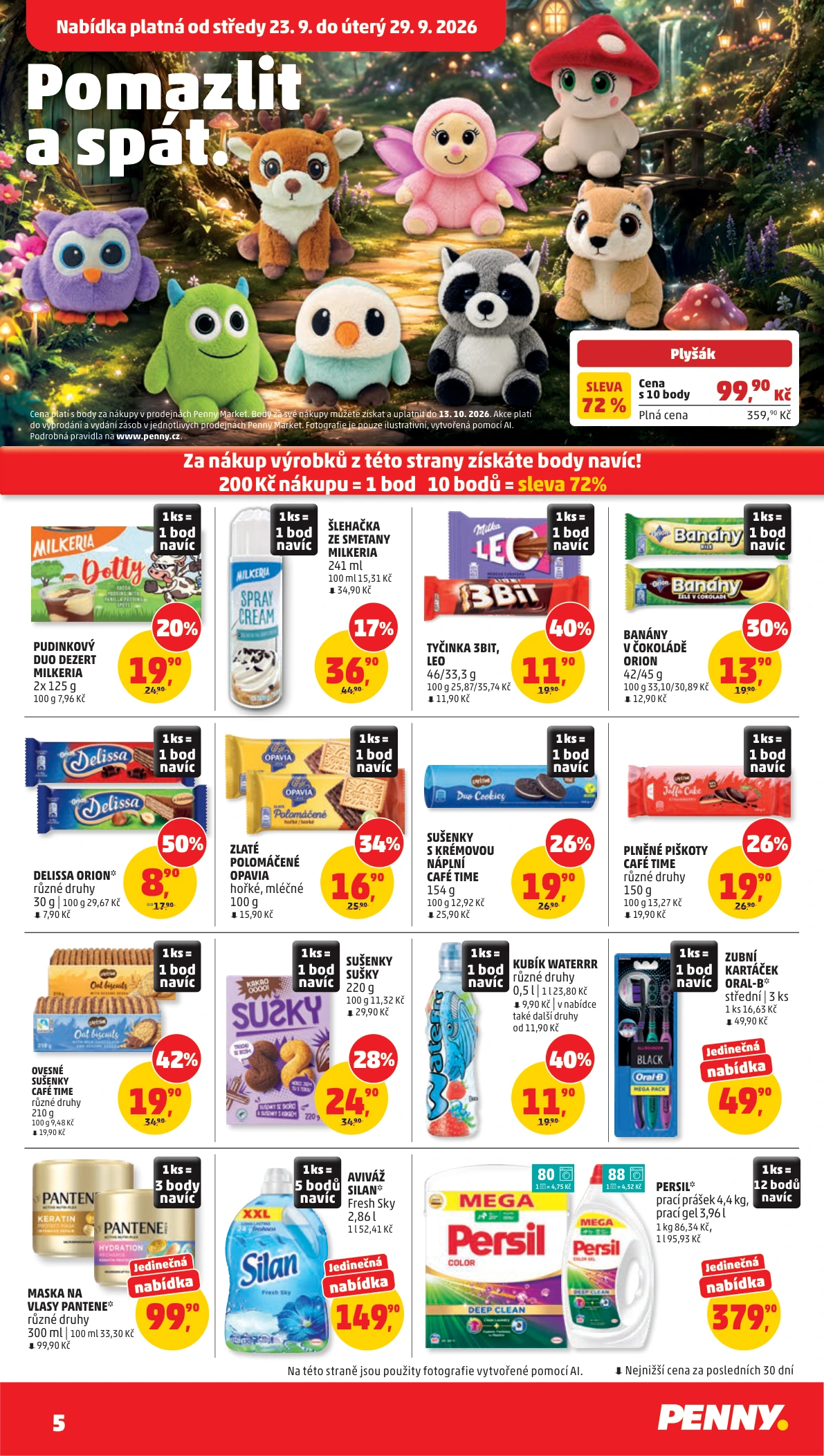 Flyer page 5