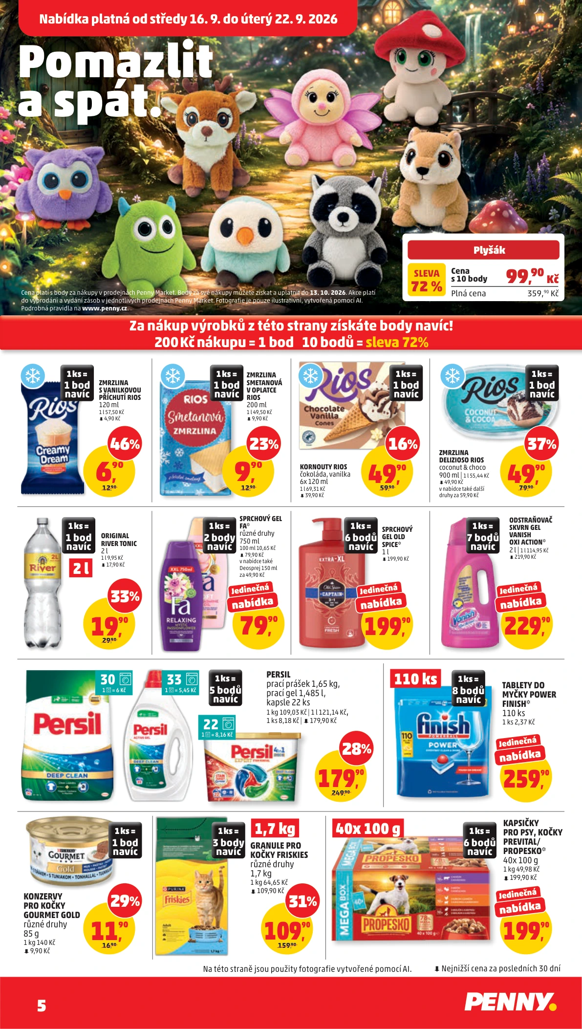 Flyer page 5