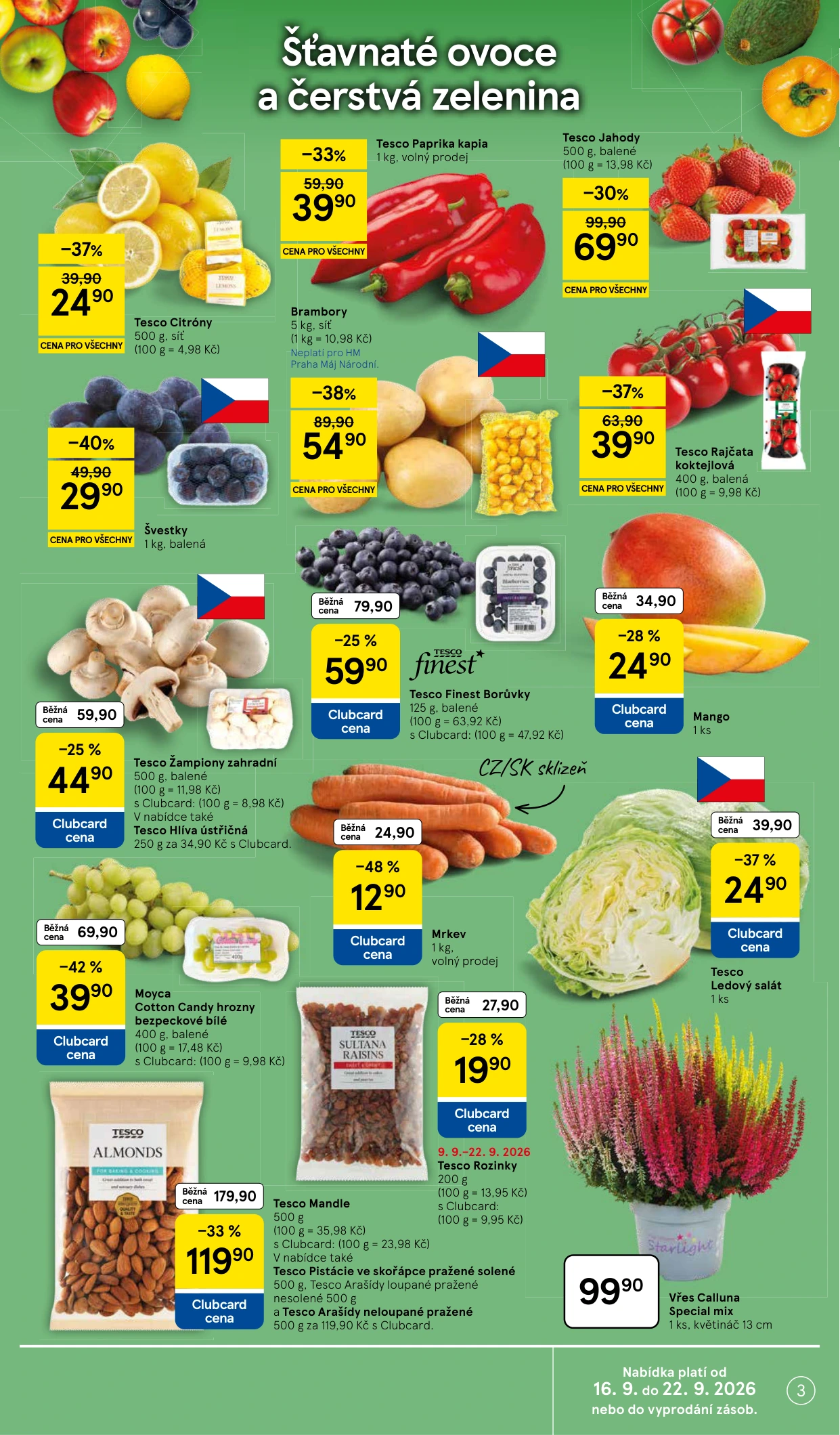 Flyer page 3