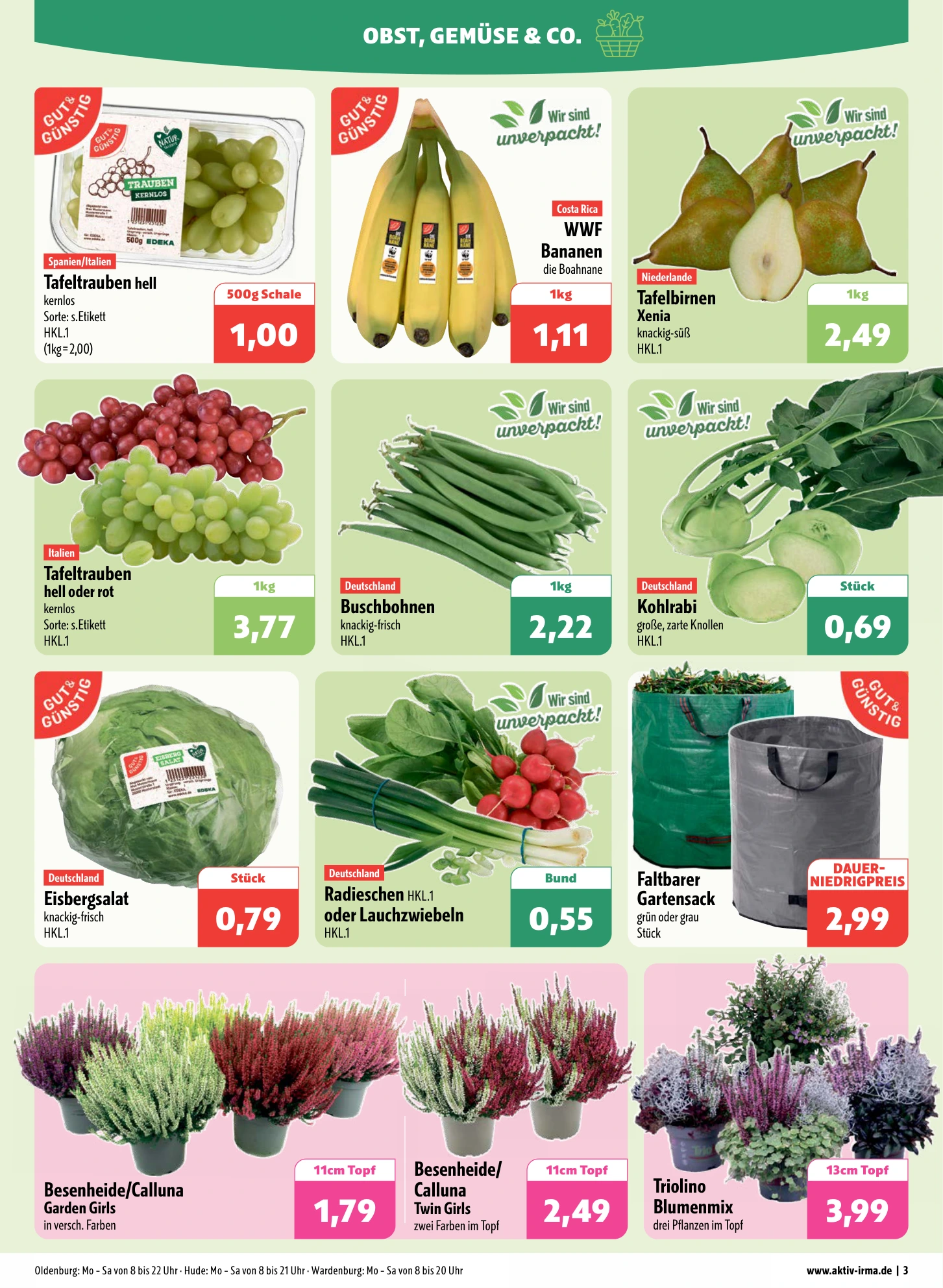 Flyer page 3