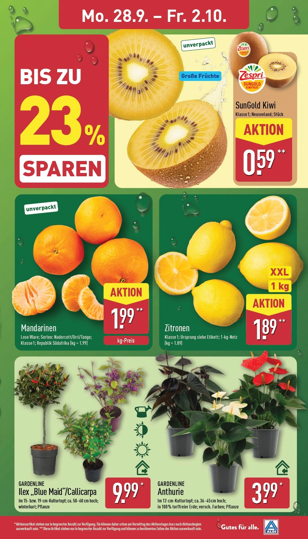 Flyer page 3