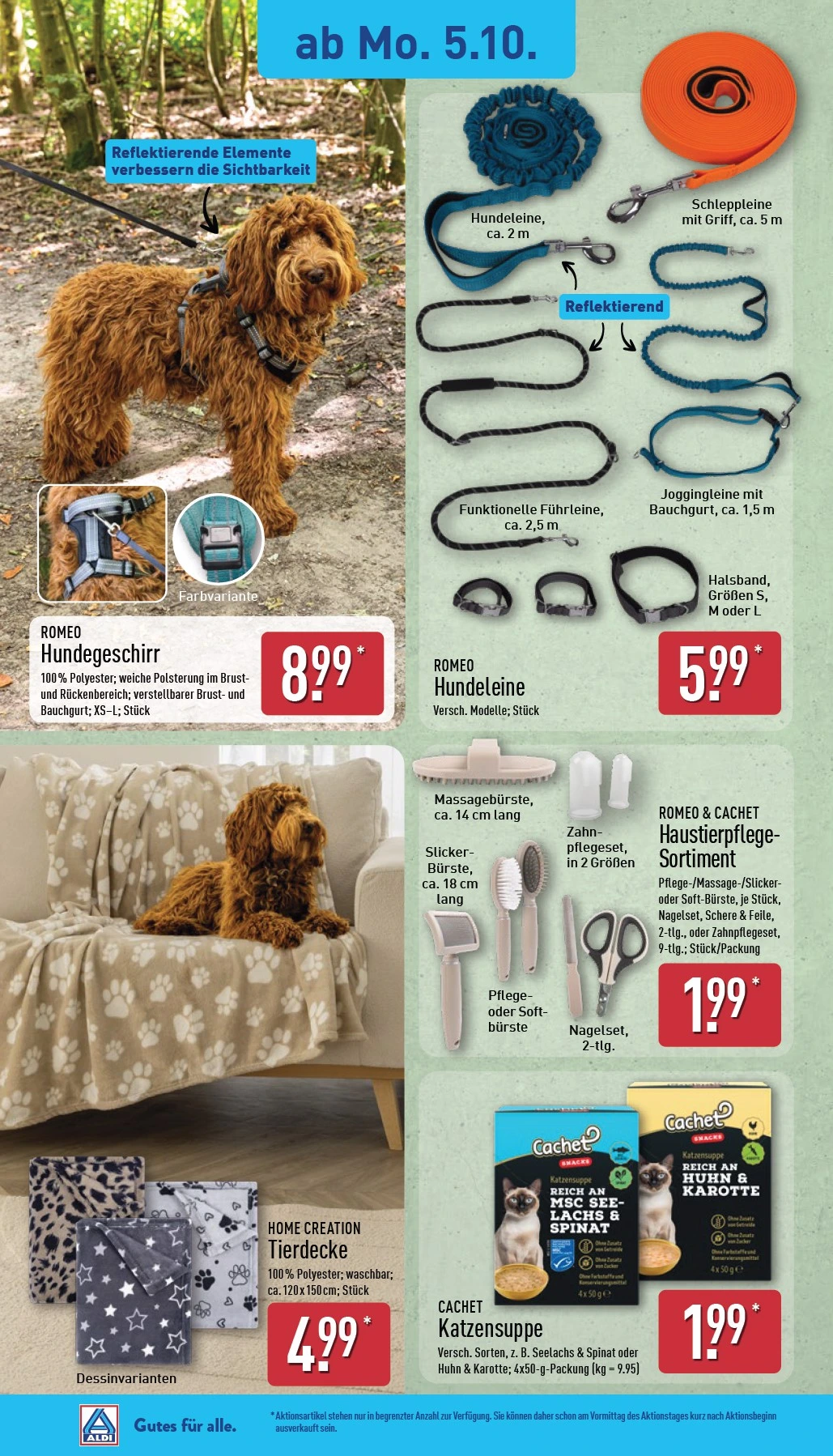 Flyer page 6
