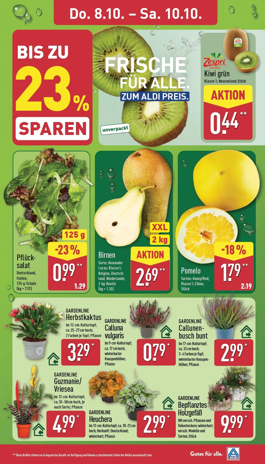 Flyer page 29