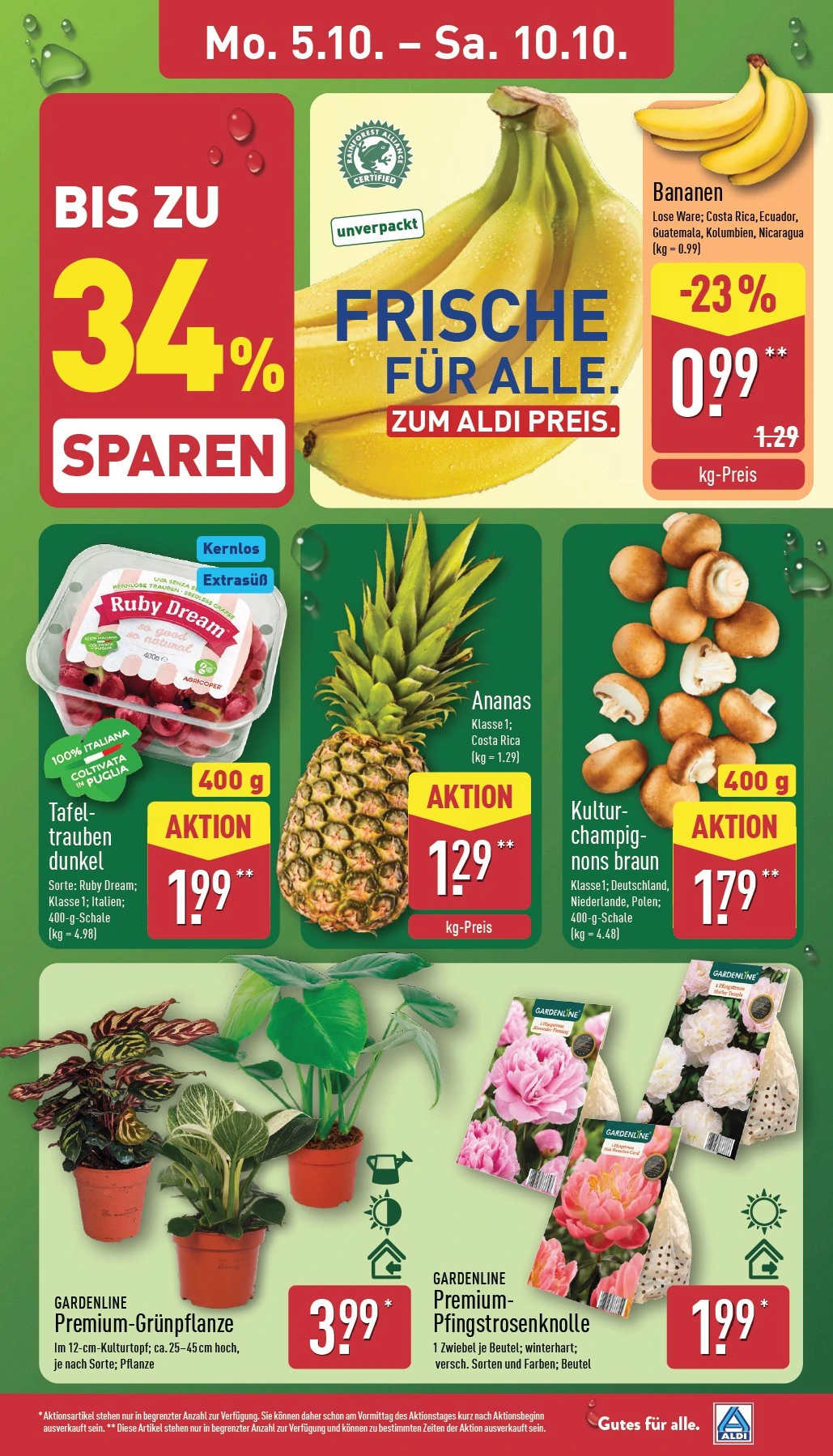 Flyer page 3