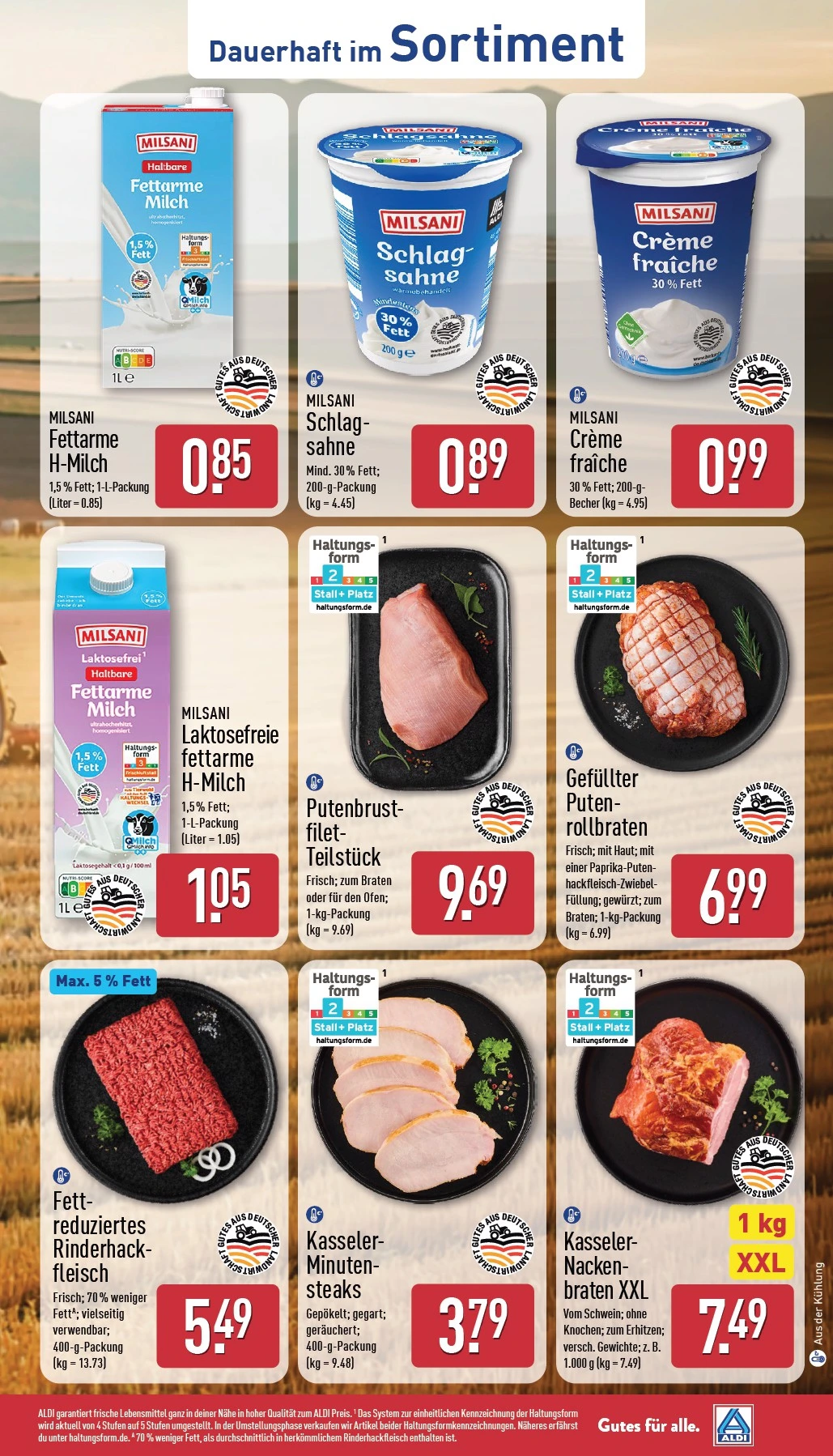 Flyer page 37