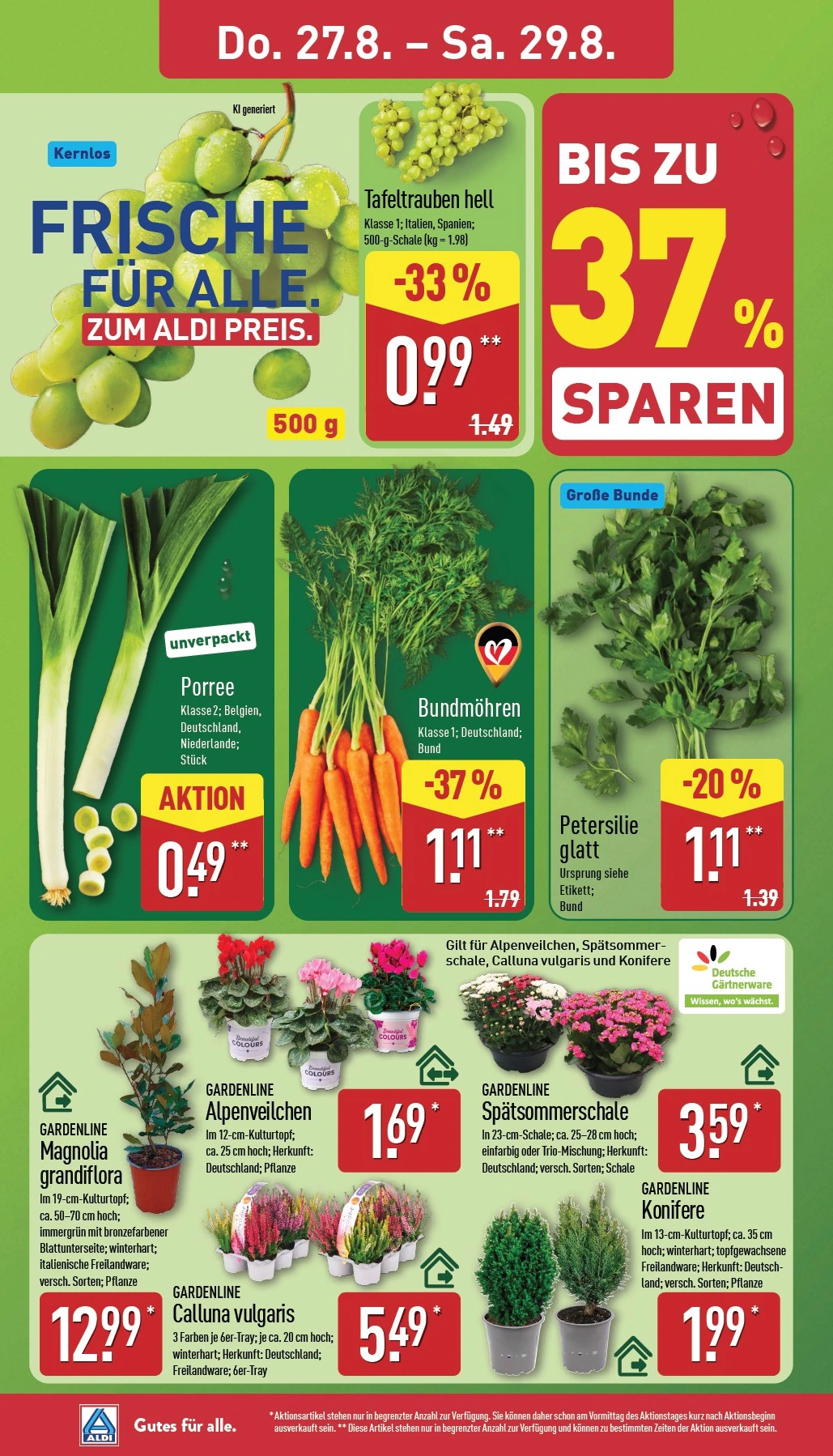 Flyer page 28