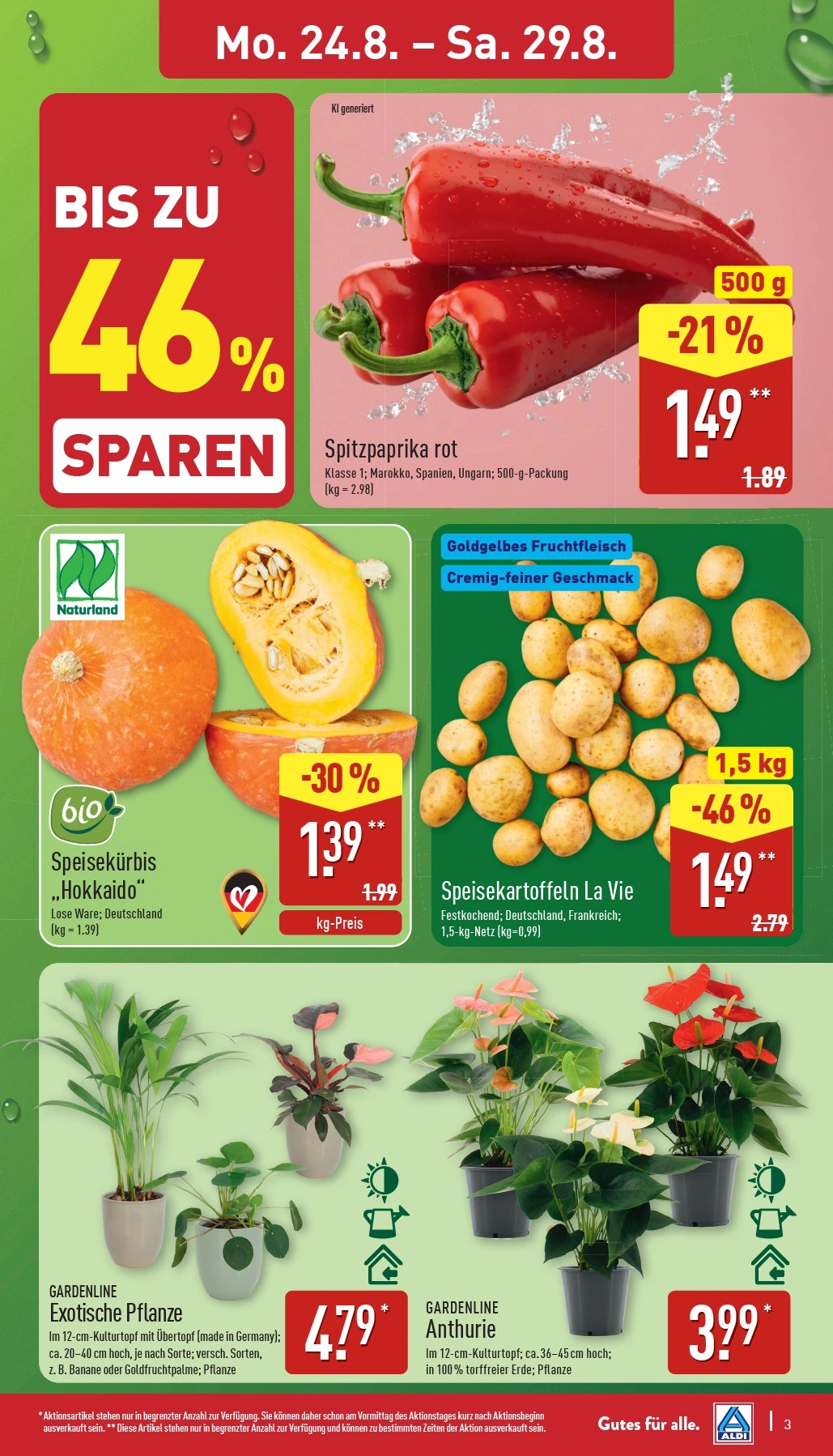 Flyer page 4