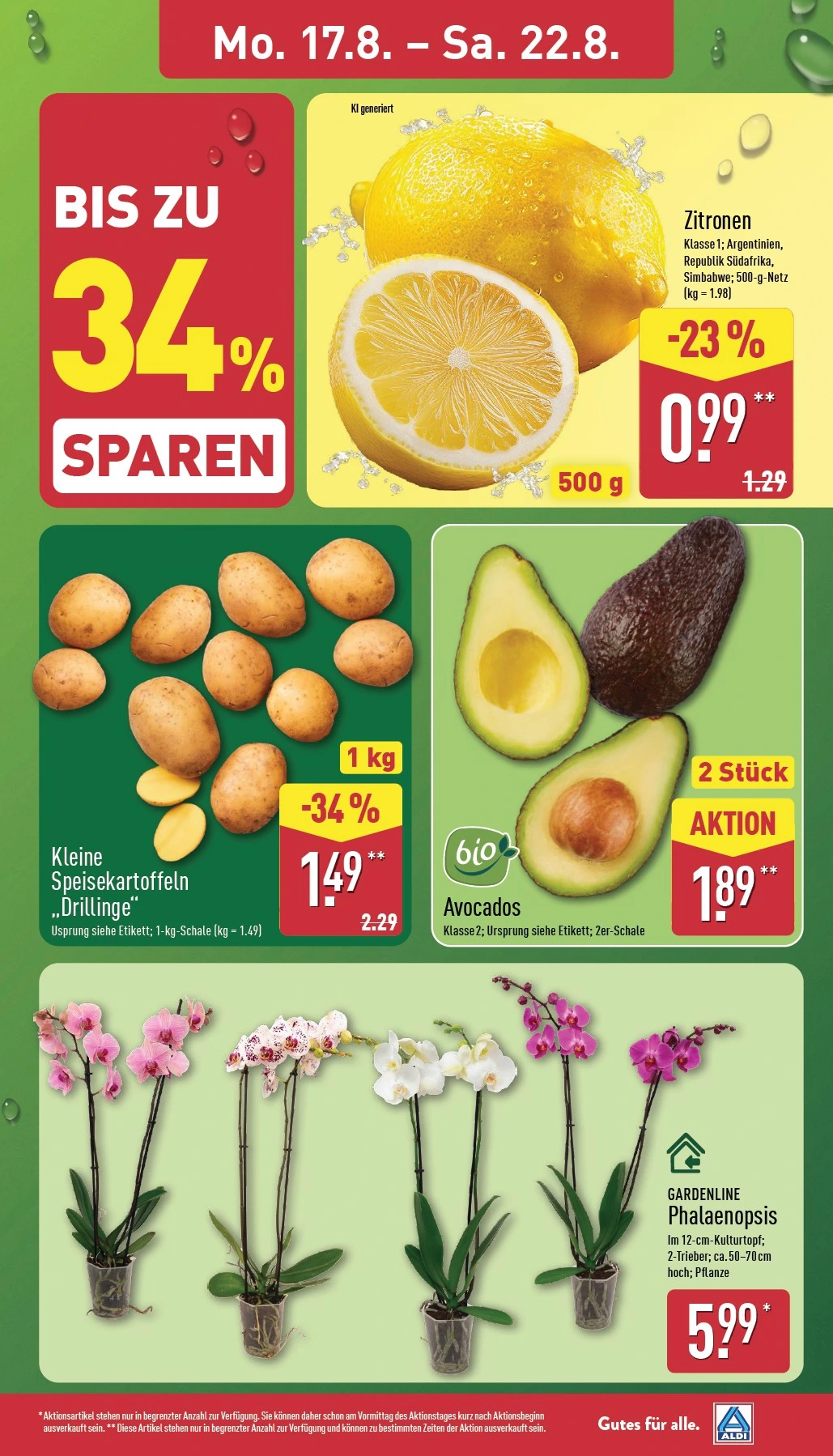 Flyer page 3