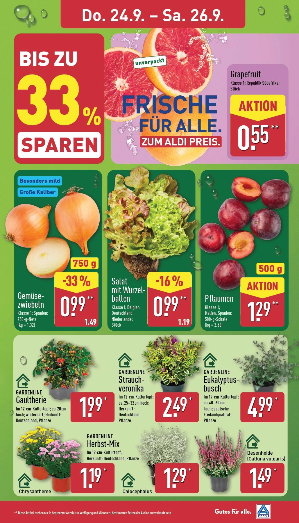 Flyer page 27