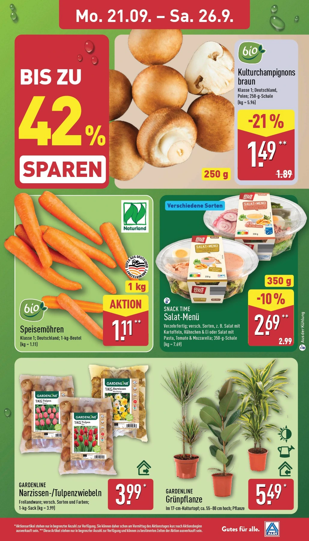 Flyer page 3