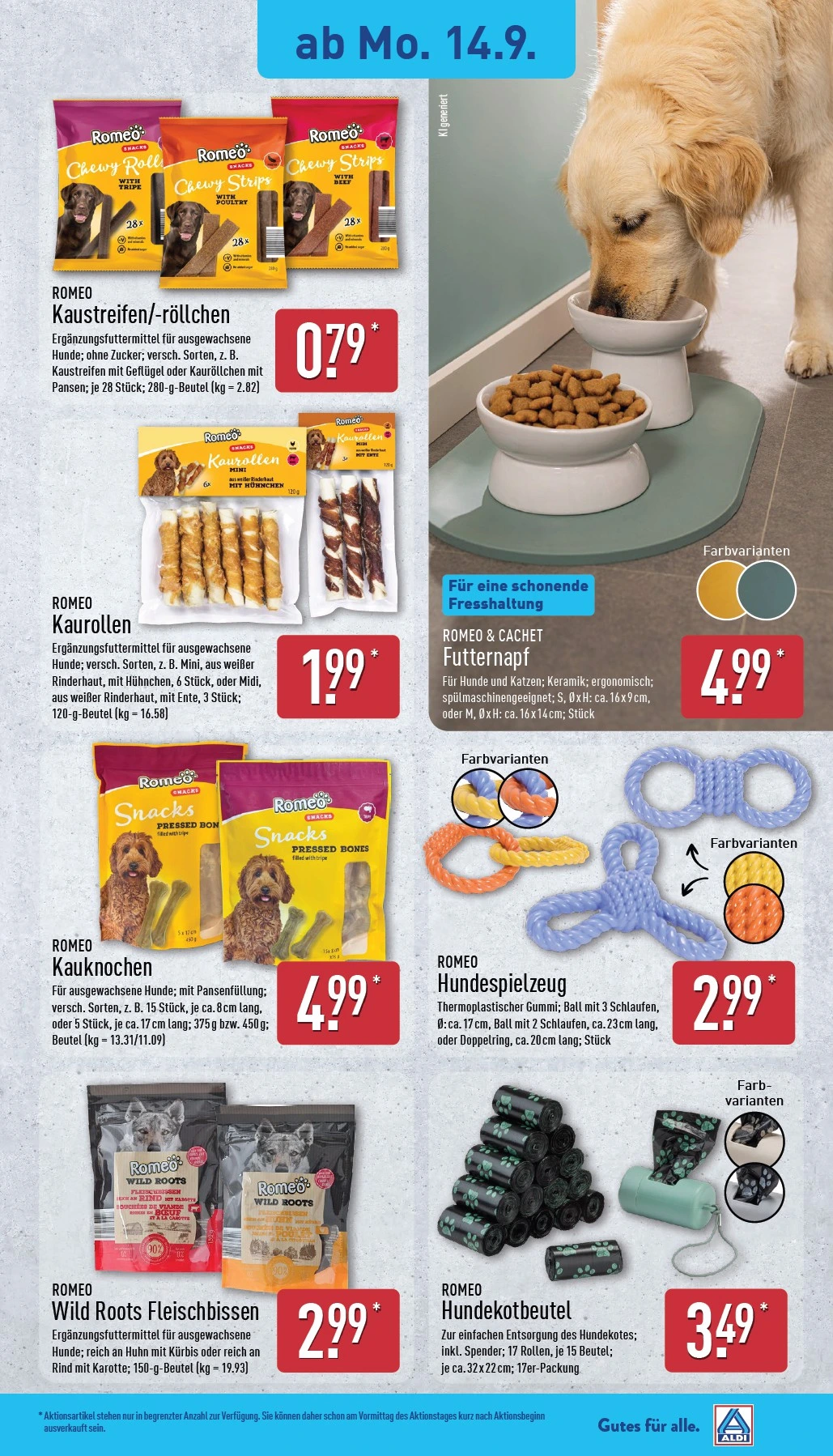 Flyer page 21