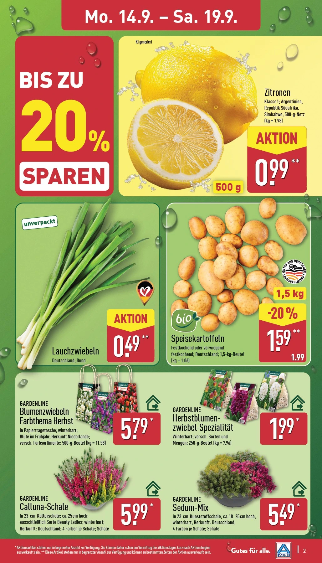 Flyer page 3