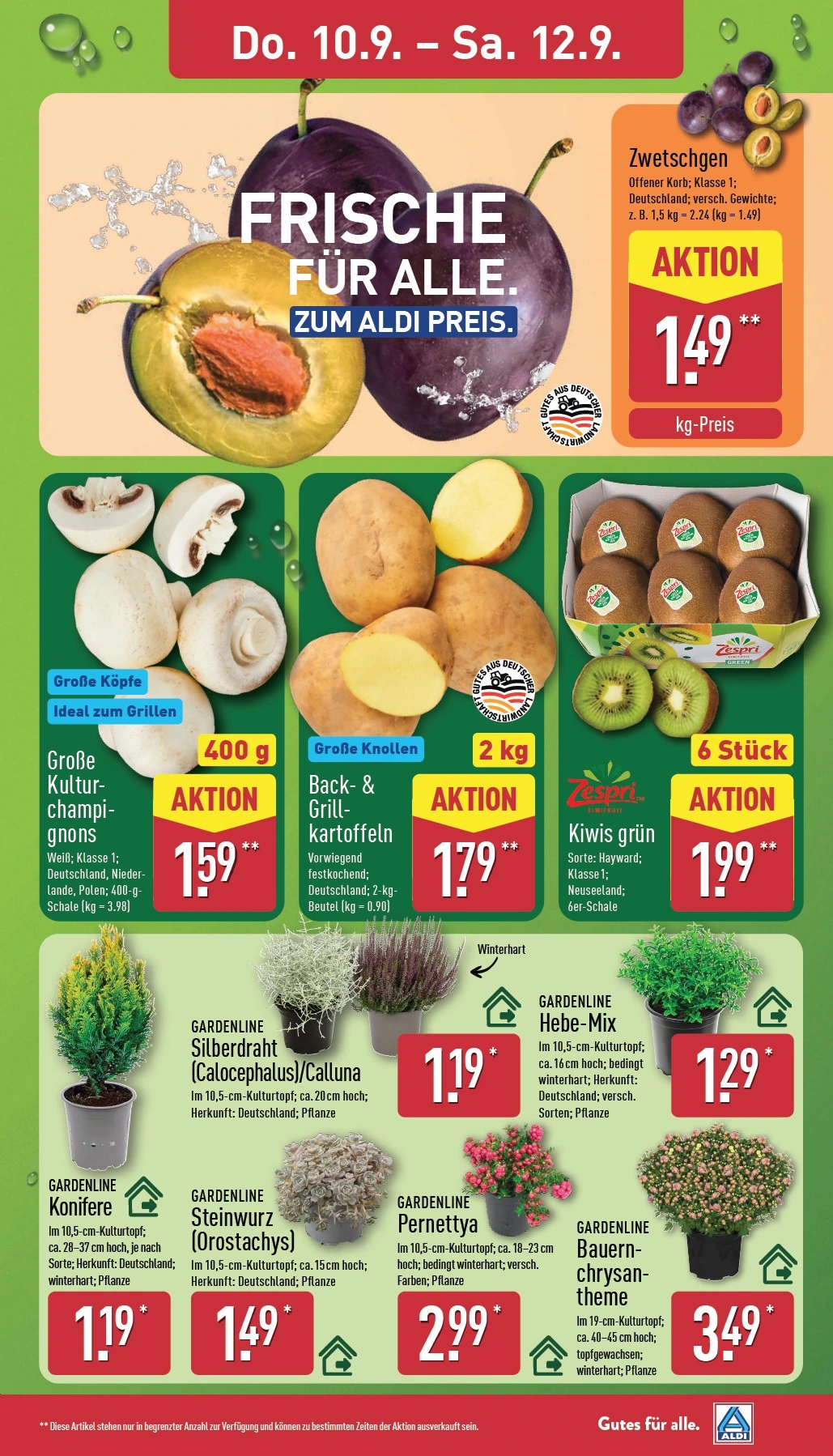 Flyer page 27