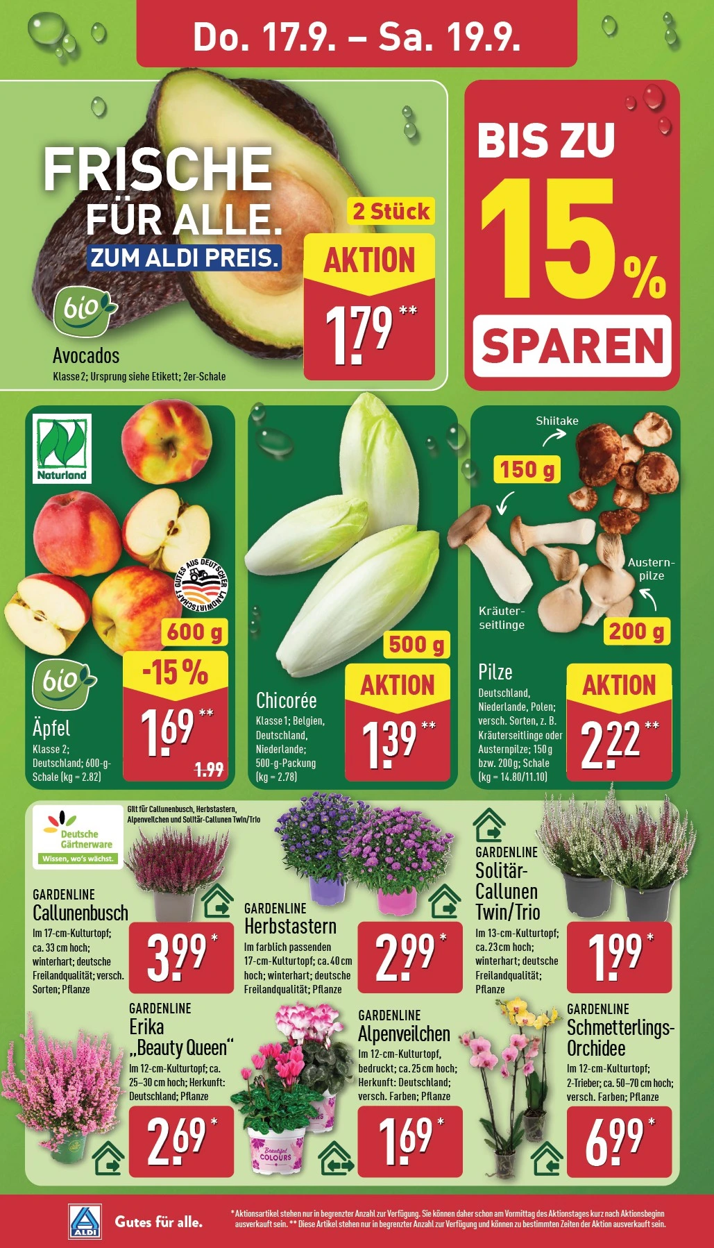 Flyer page 32