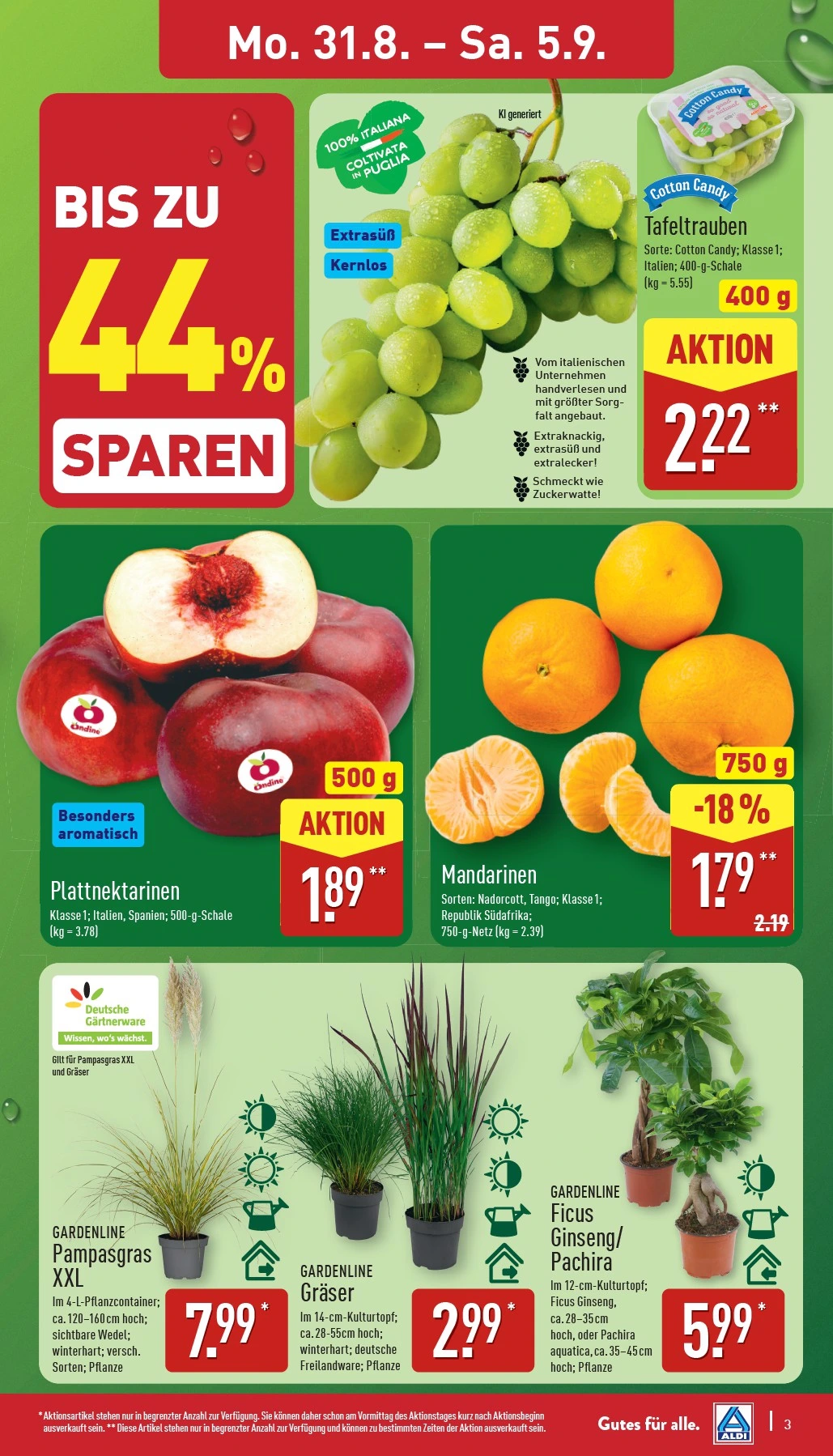 Flyer page 3