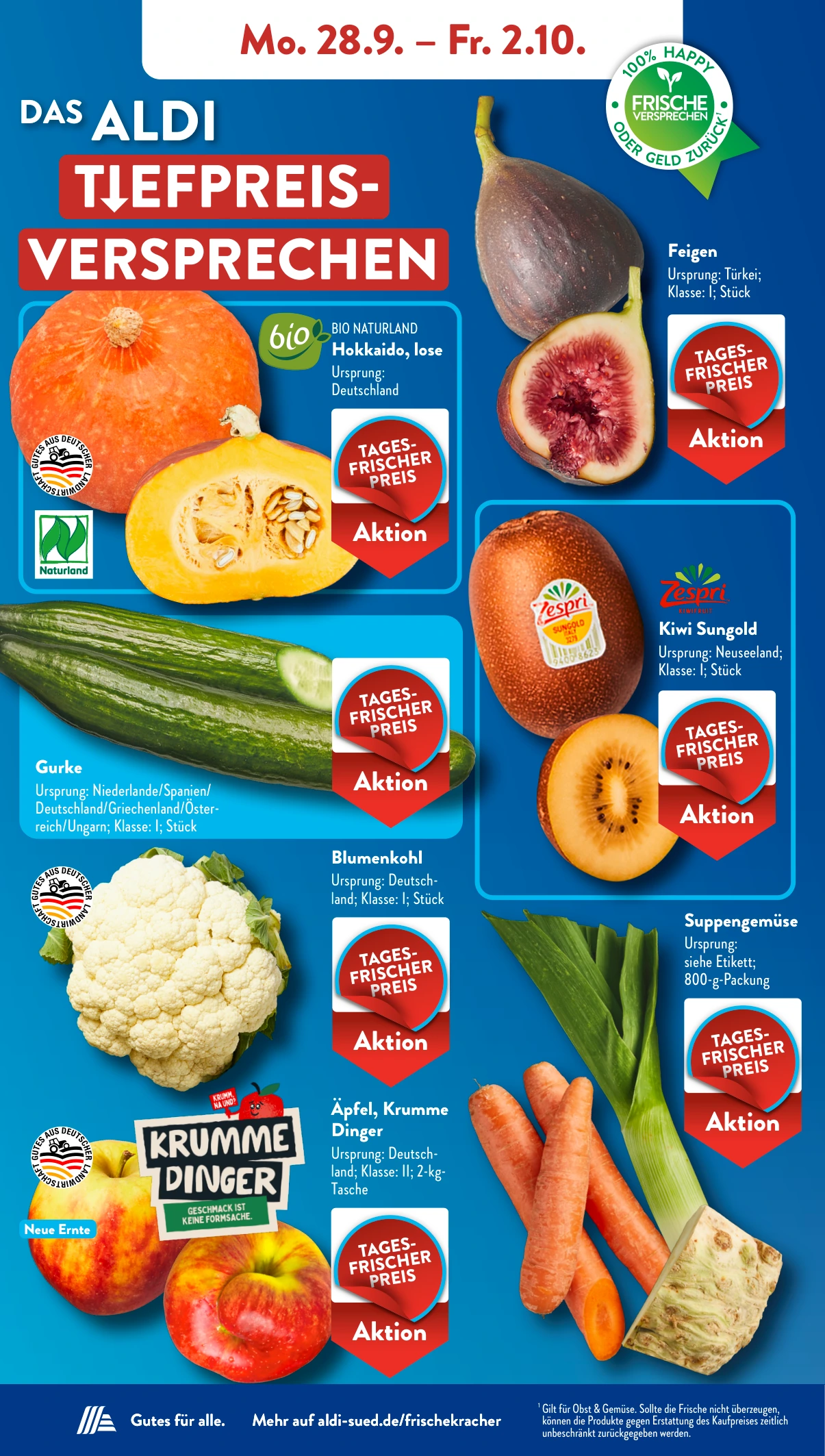 Flyer page 3