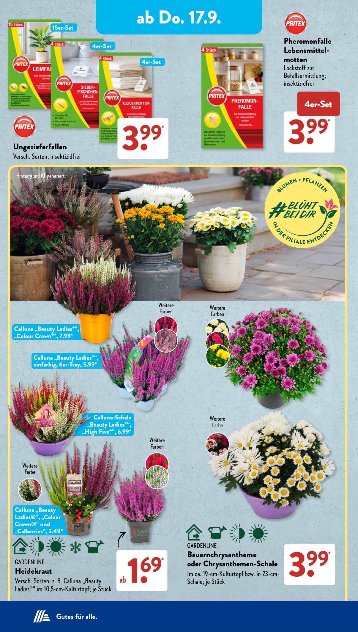 Flyer page 12