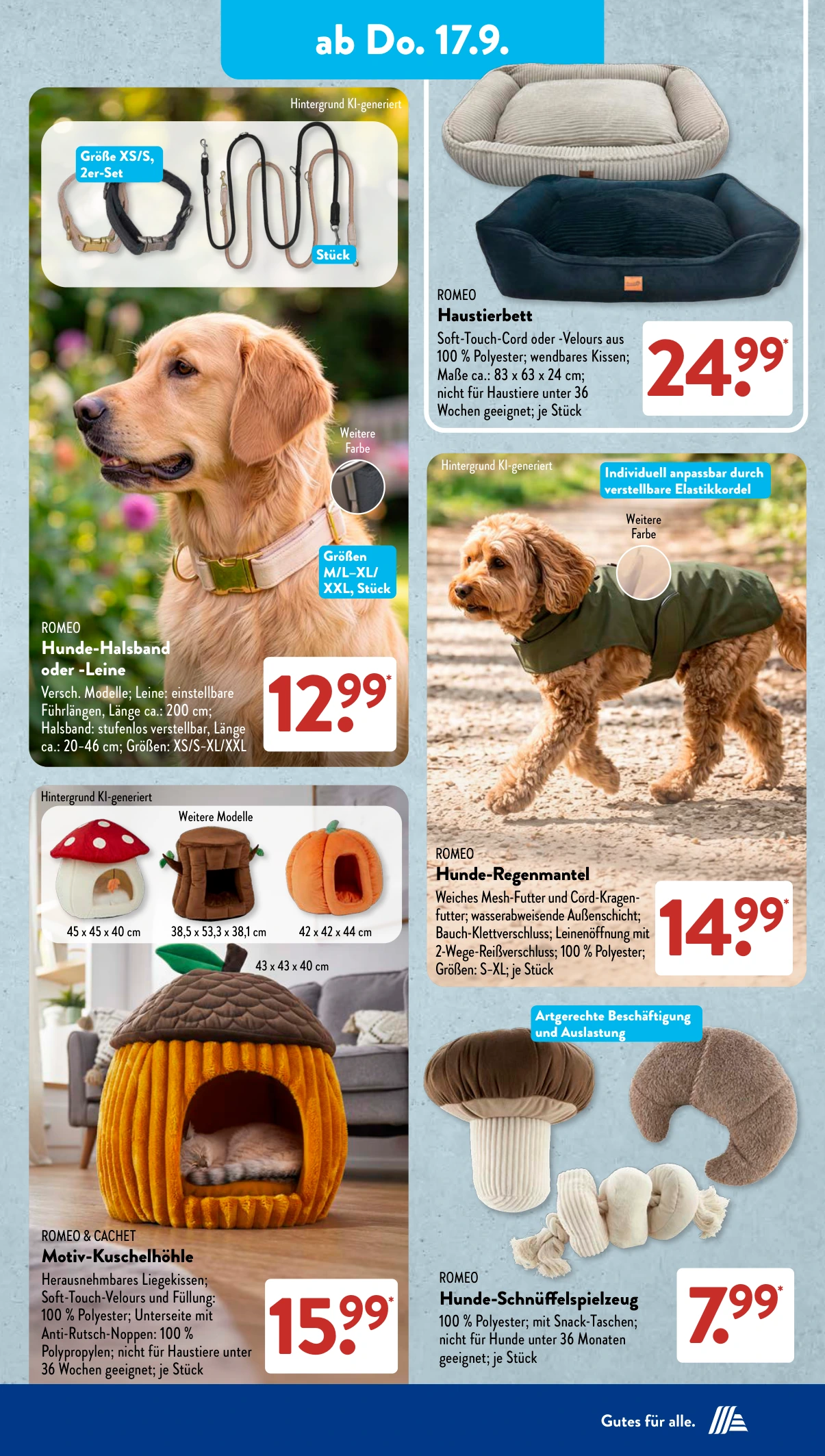 Flyer page 9