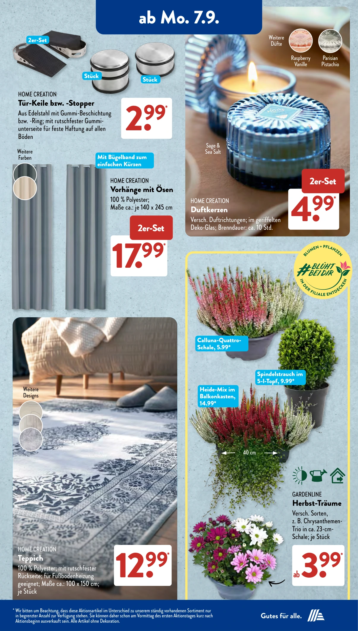Flyer page 5